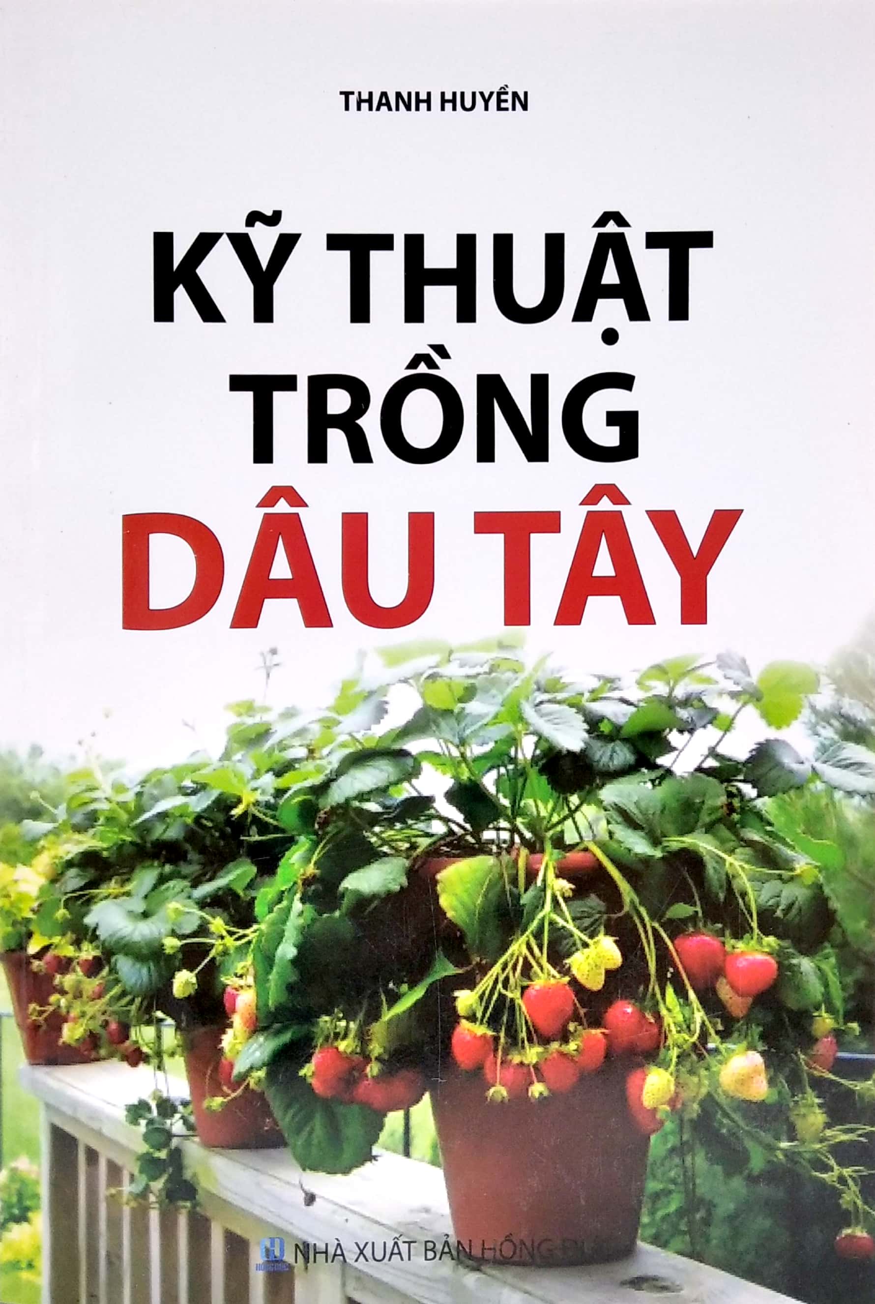 kỹ thuật trồng dâu tây - Ảnh 2