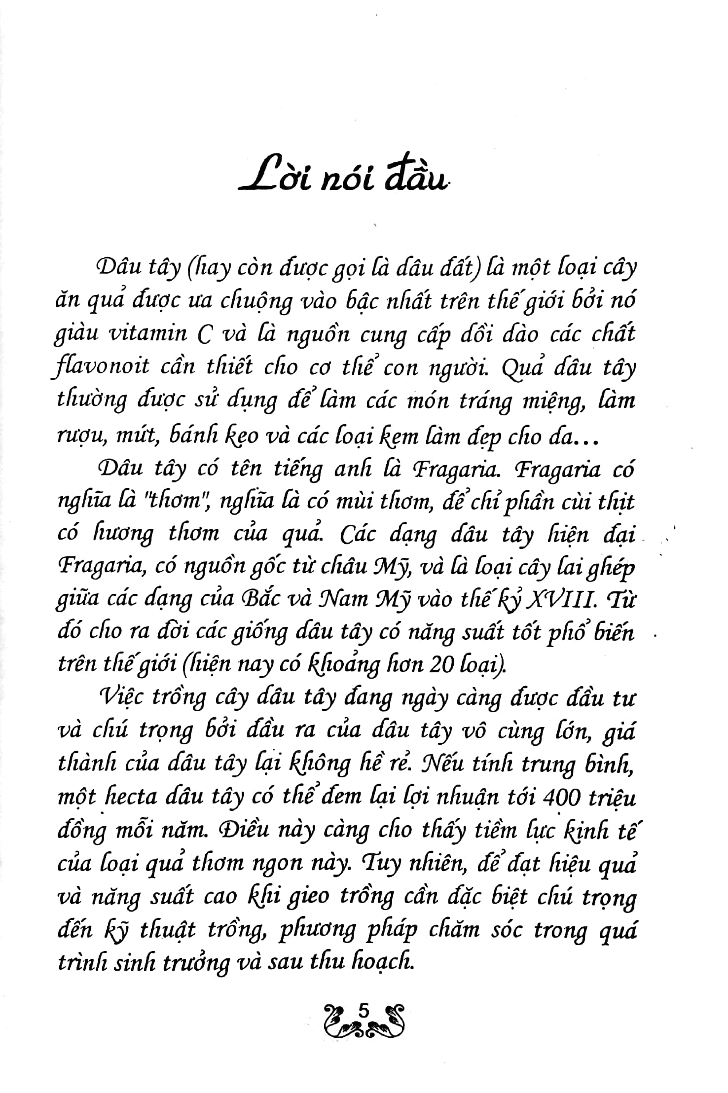 kỹ thuật trồng dâu tây - Ảnh 3