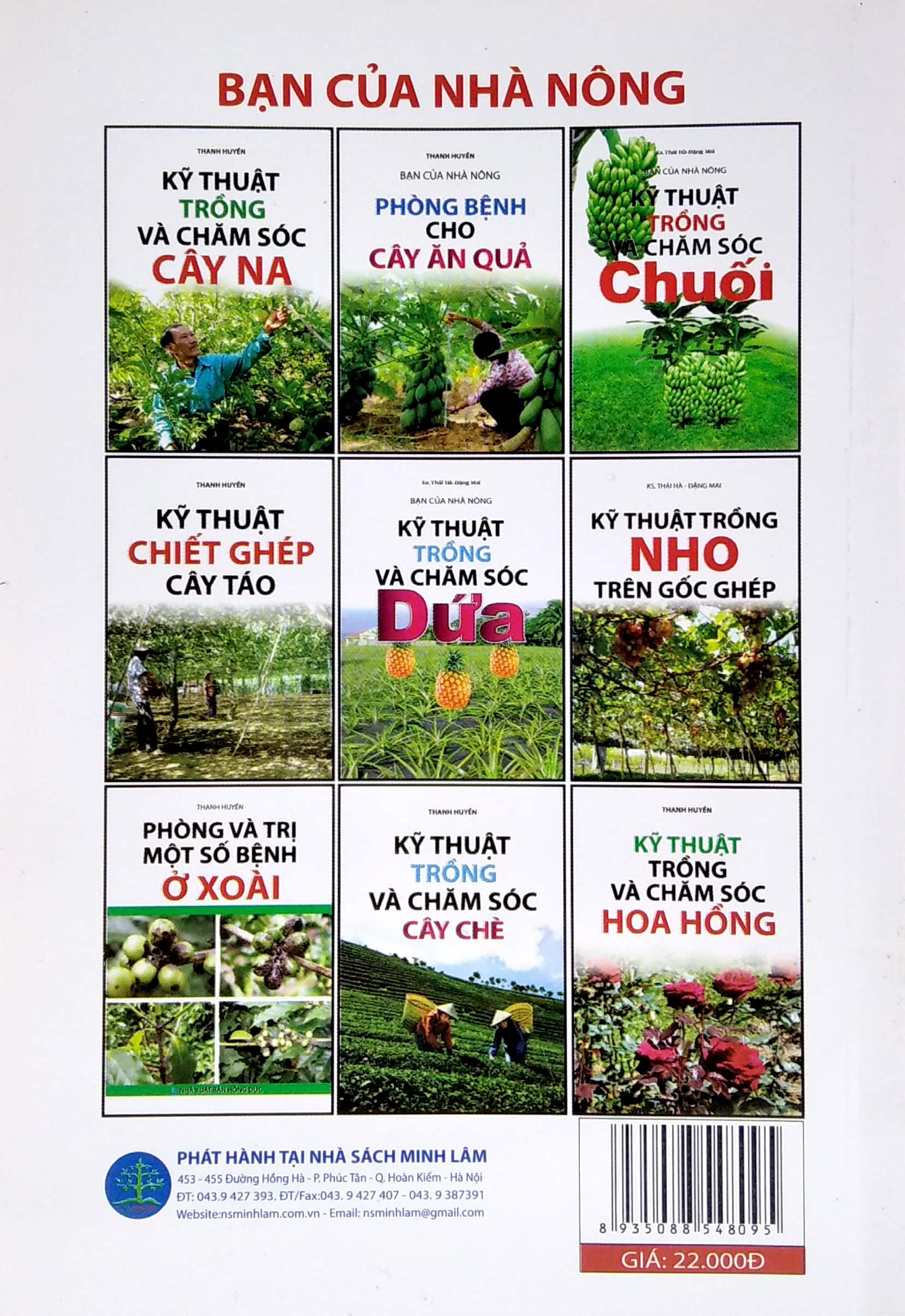 kỹ thuật trồng dâu tây - Ảnh 6