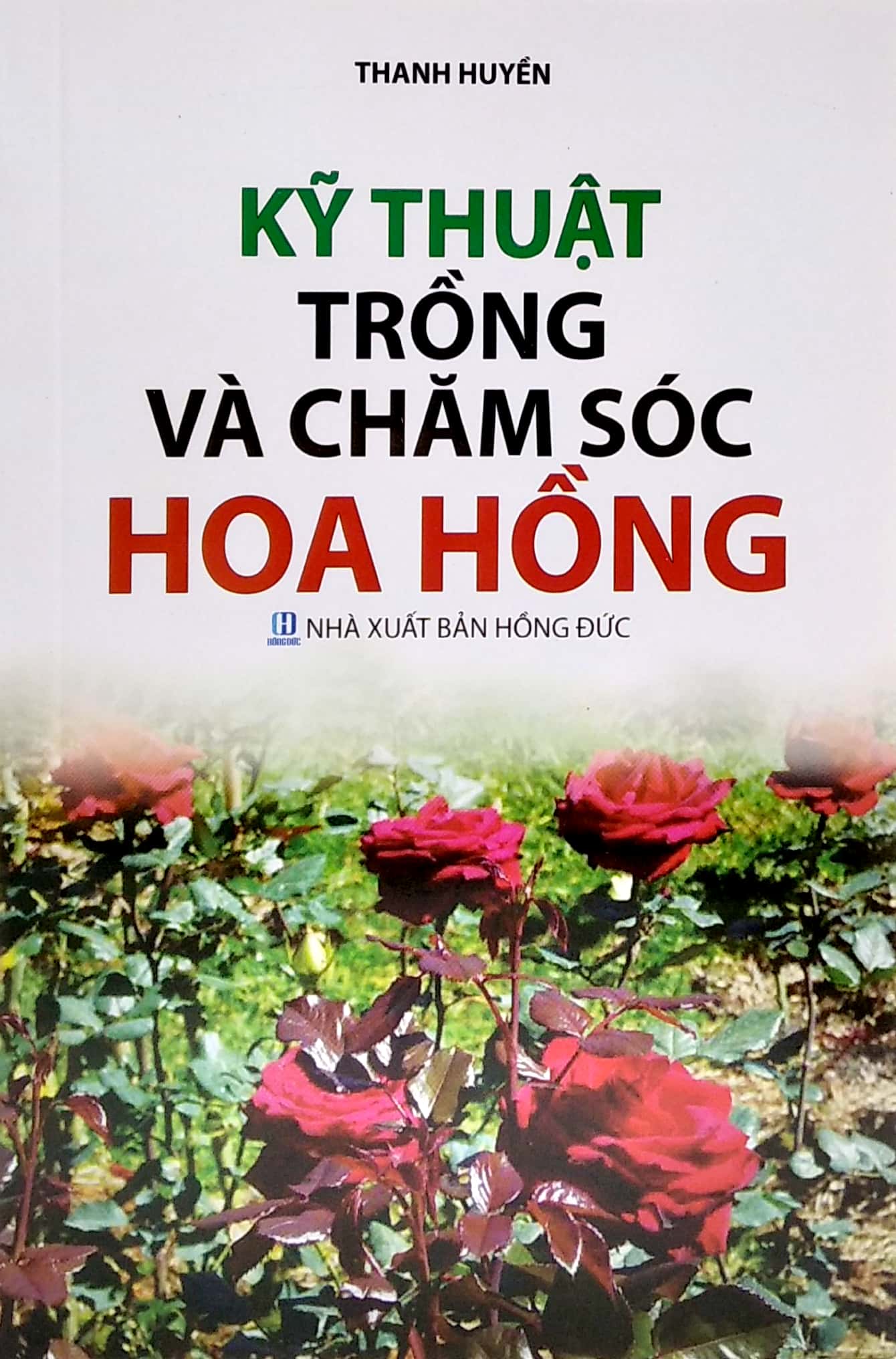 kỹ thuật trồng và chăm sóc hoa hồng - Ảnh 3