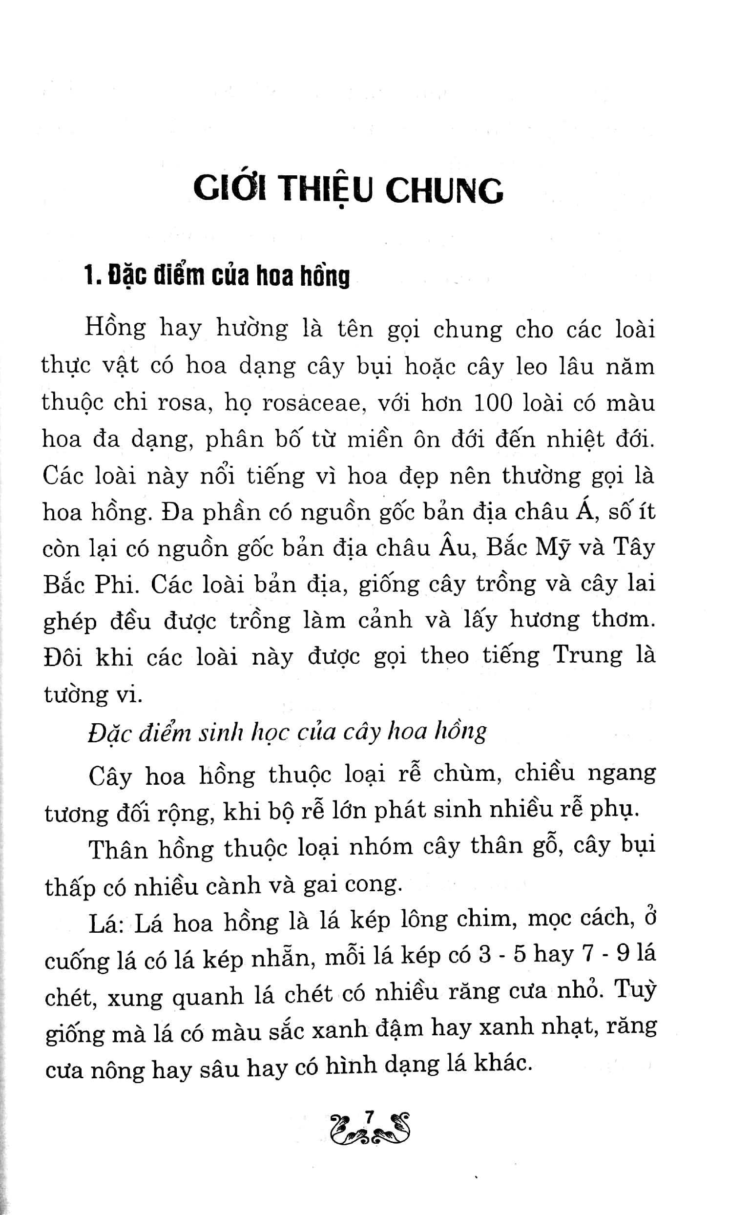kỹ thuật trồng và chăm sóc hoa hồng - Ảnh 6