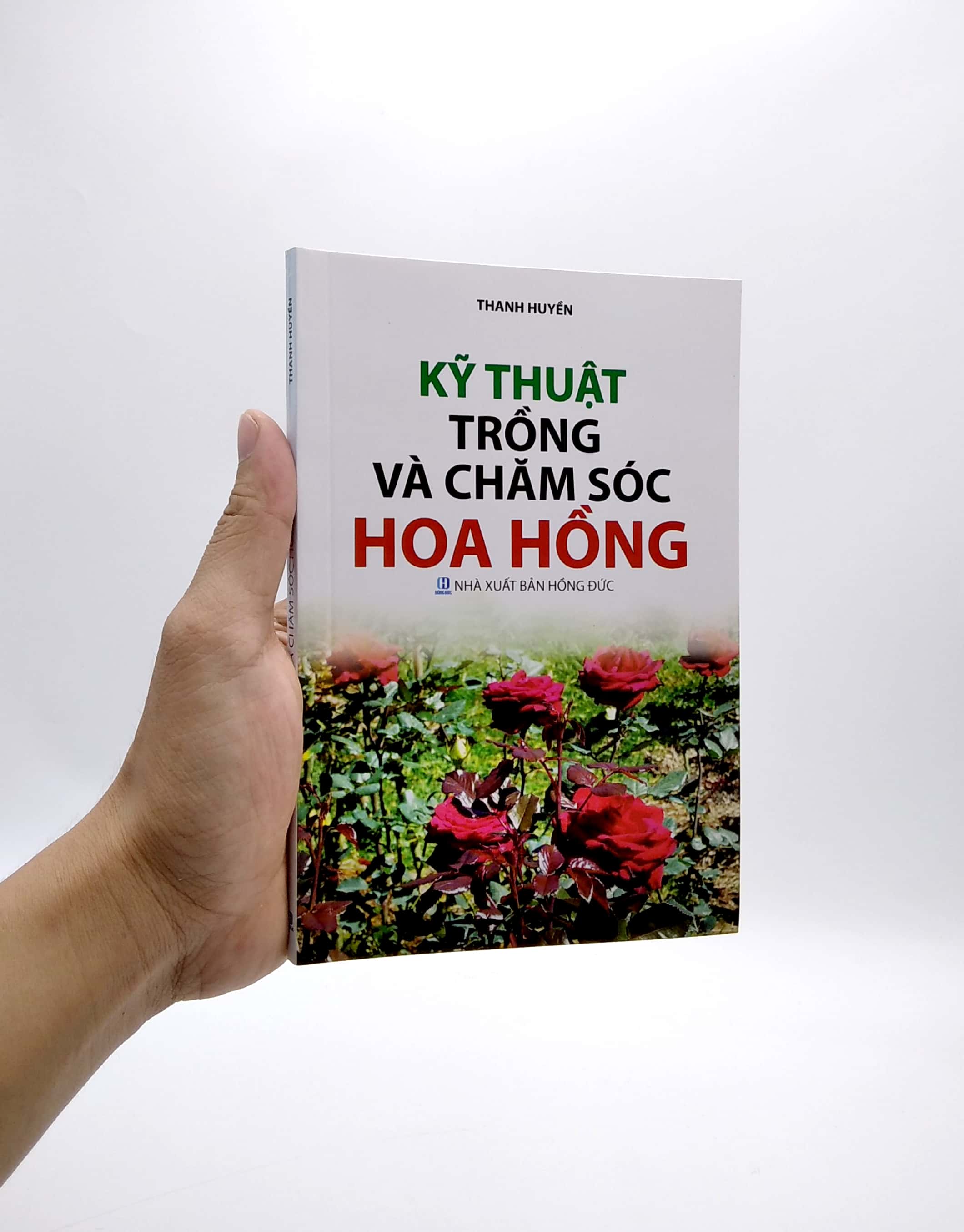 kỹ thuật trồng và chăm sóc hoa hồng - Ảnh 8