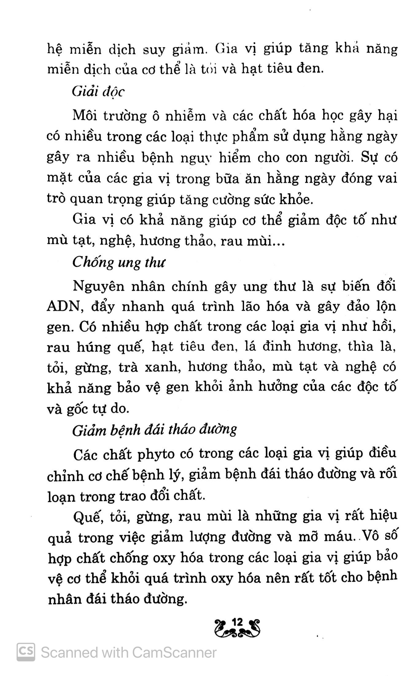 kỹ thuật trồng và chăm sóc rau gia vị - Ảnh 11