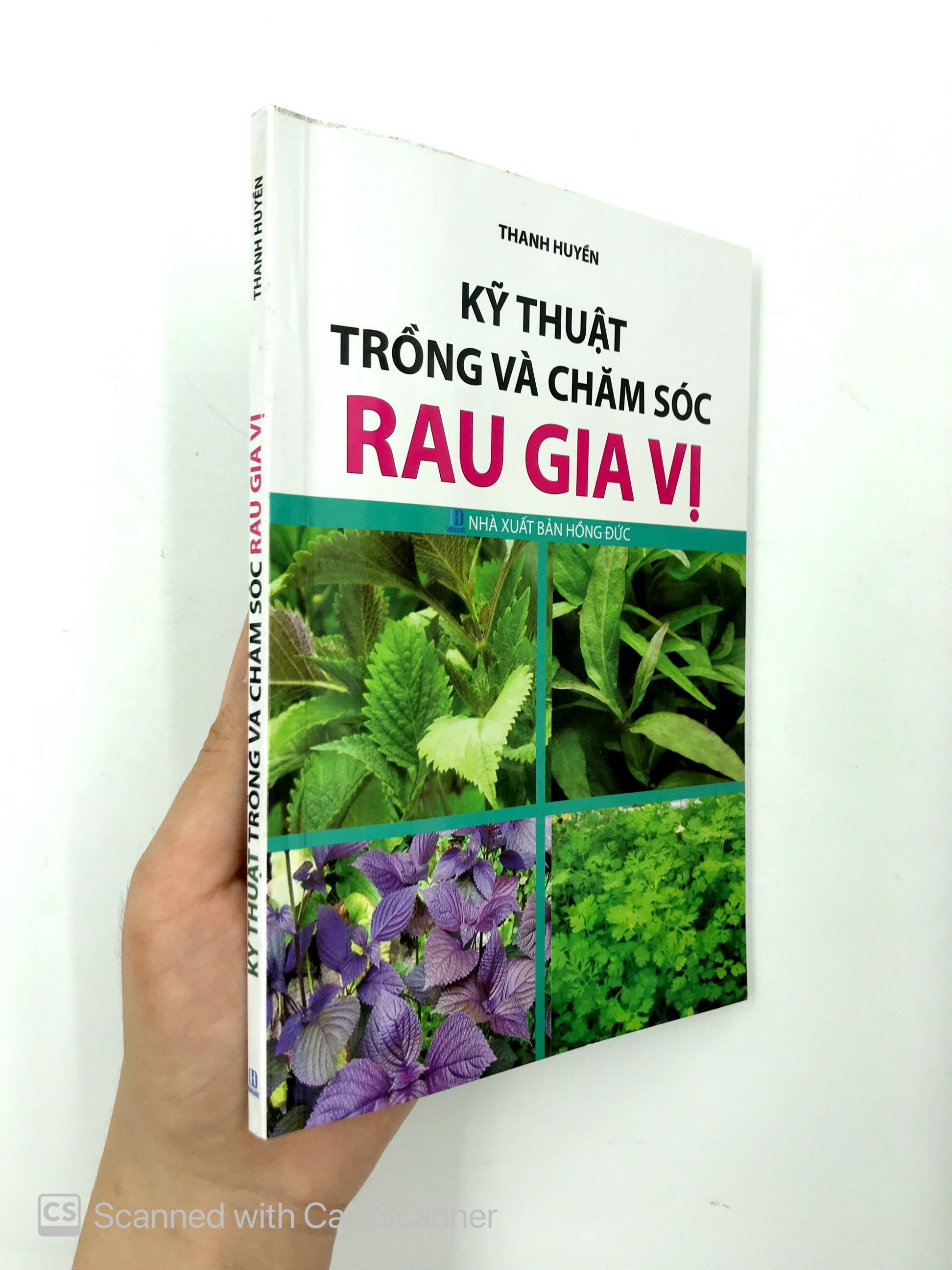 kỹ thuật trồng và chăm sóc rau gia vị - Ảnh 12
