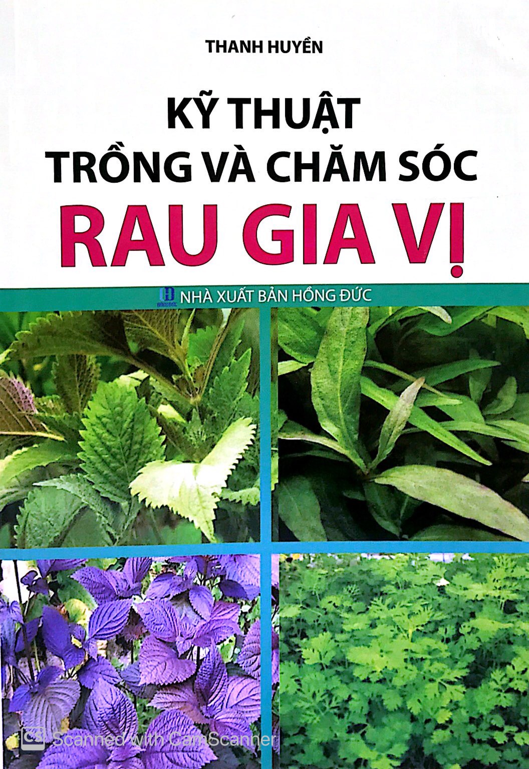 kỹ thuật trồng và chăm sóc rau gia vị - Ảnh 2