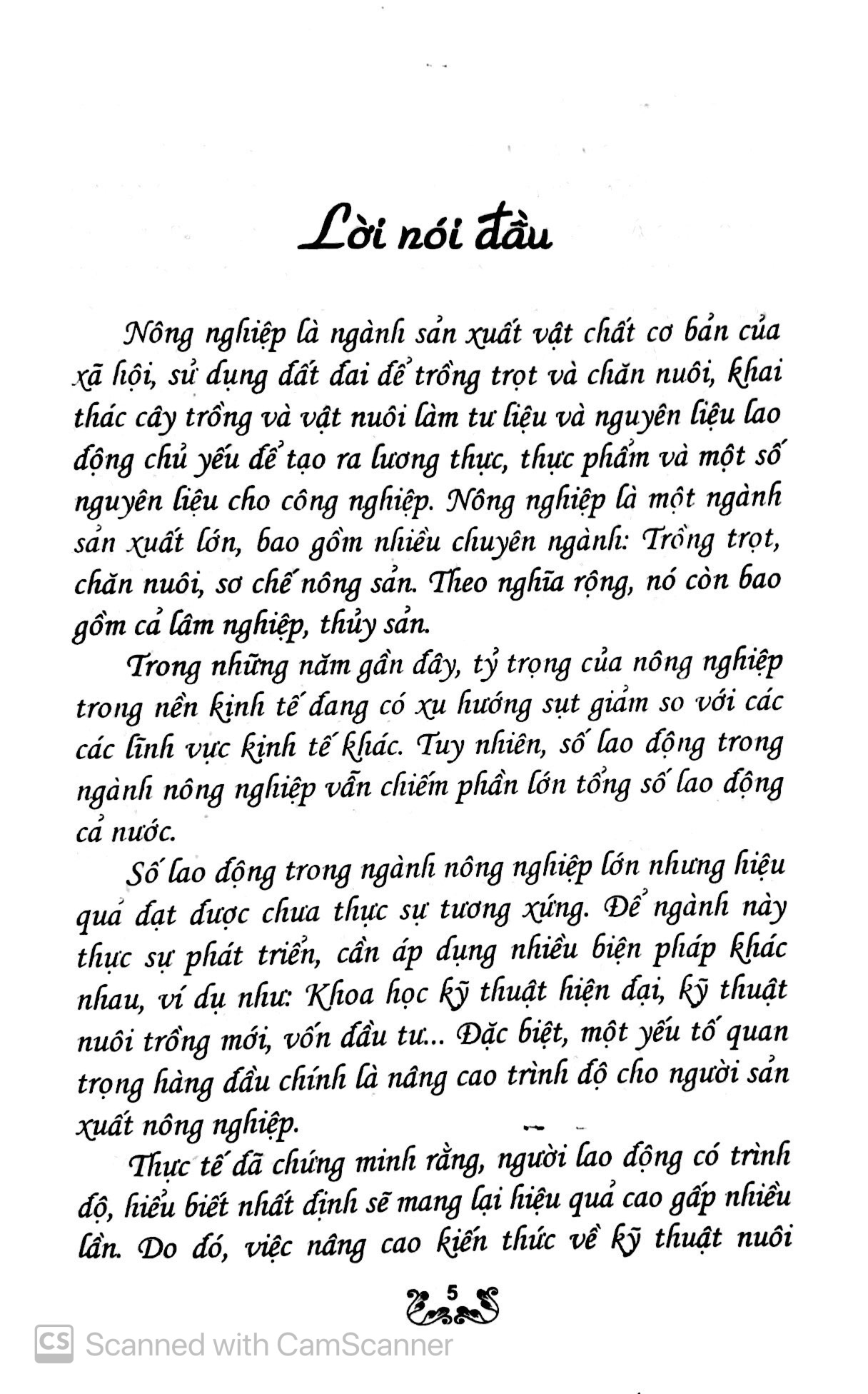 kỹ thuật trồng và chăm sóc rau gia vị - Ảnh 4