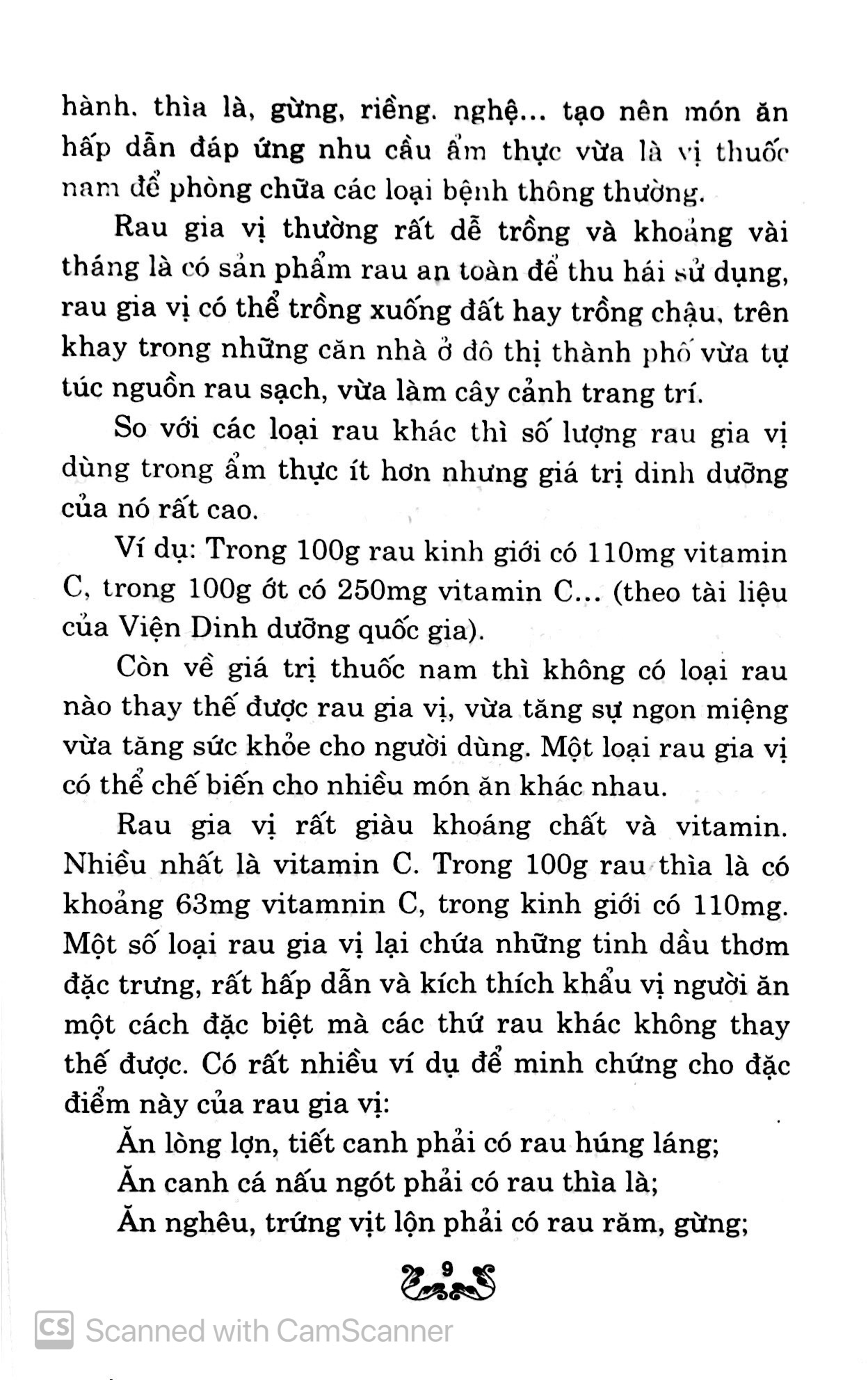kỹ thuật trồng và chăm sóc rau gia vị - Ảnh 8