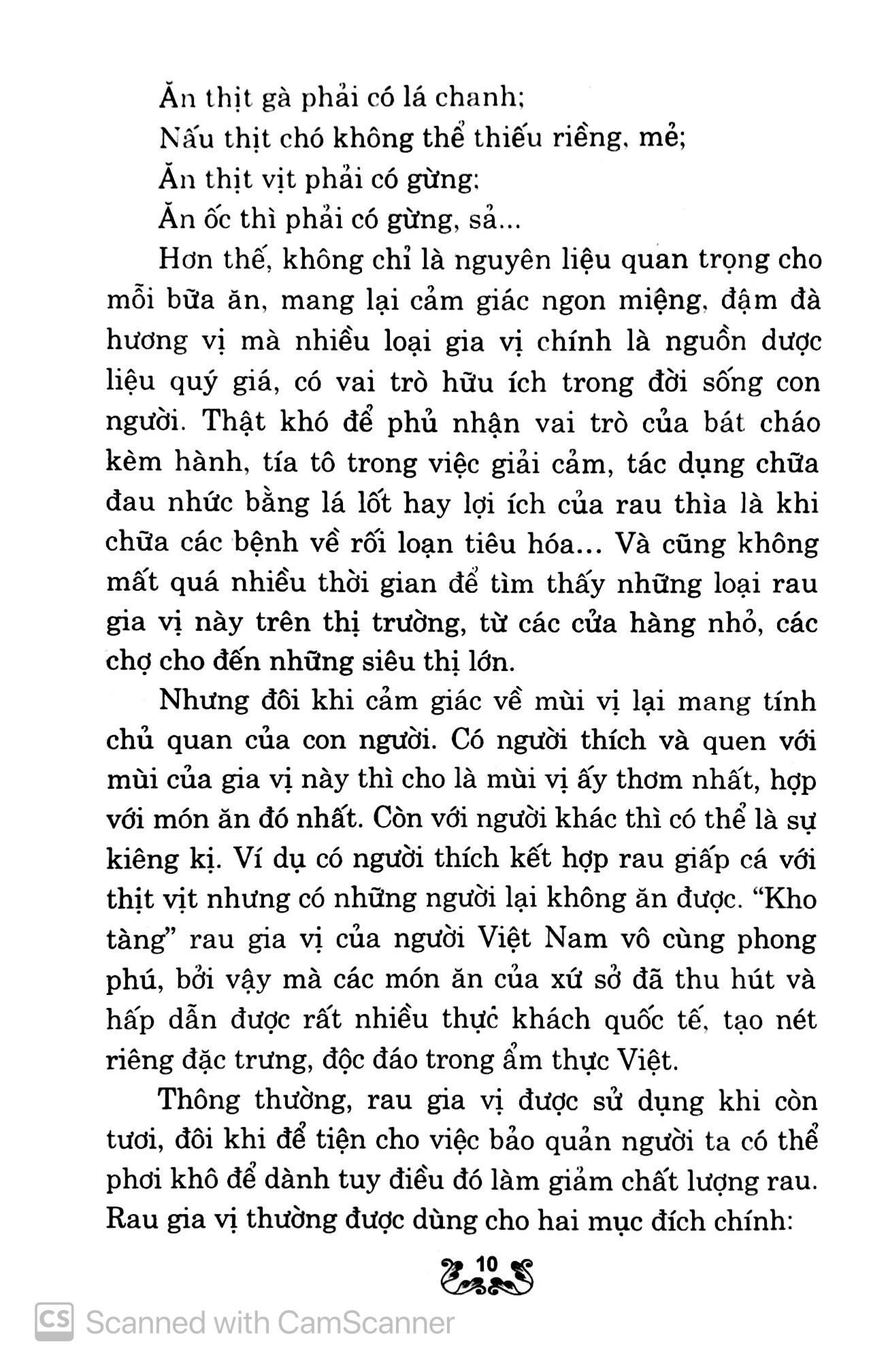 kỹ thuật trồng và chăm sóc rau gia vị - Ảnh 9