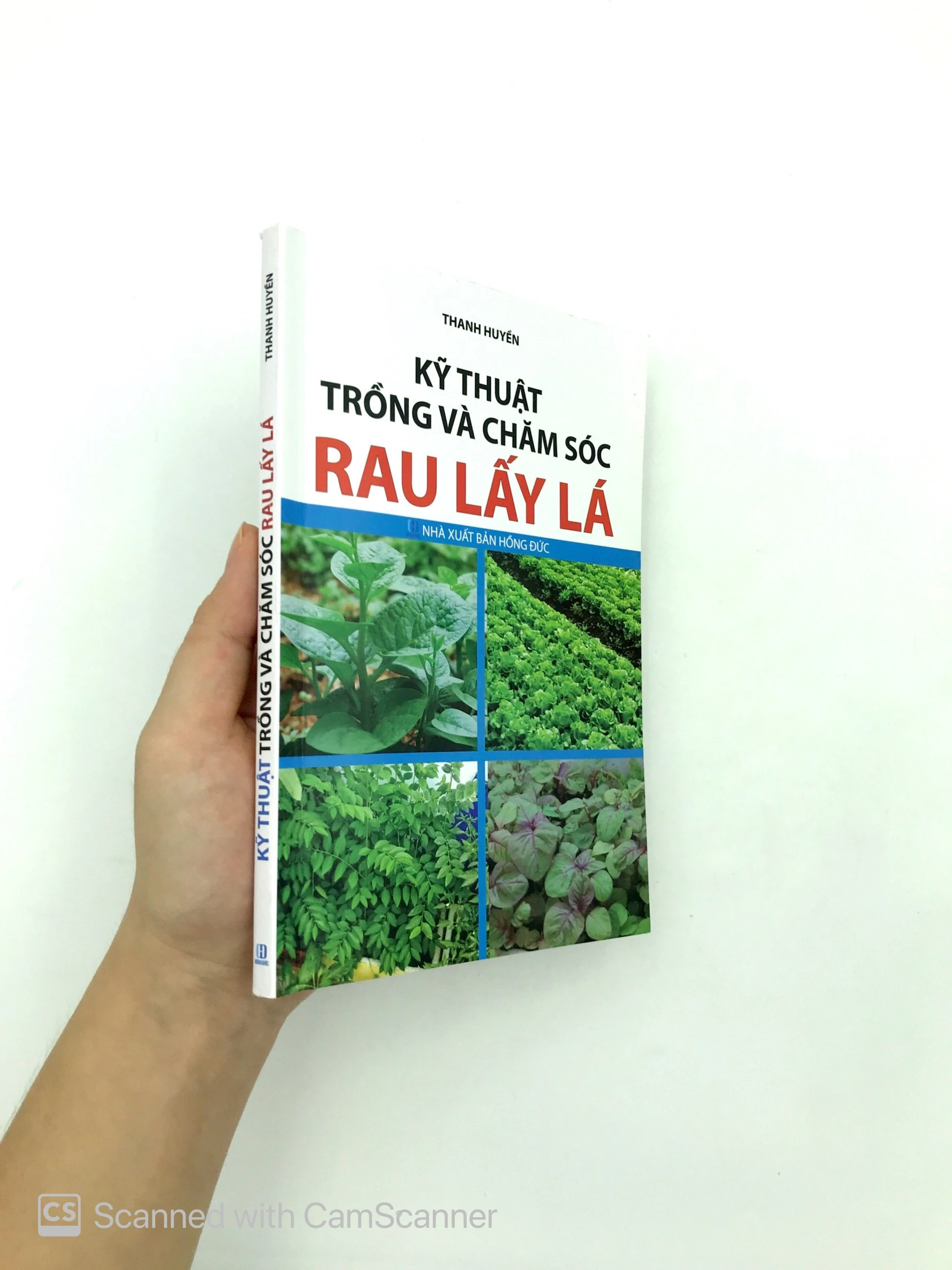 kỹ thuật trồng và chăm sóc rau lấy lá - Ảnh 11