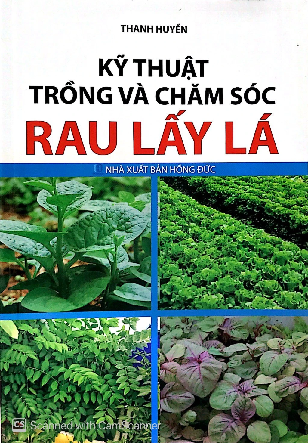 kỹ thuật trồng và chăm sóc rau lấy lá - Ảnh 2