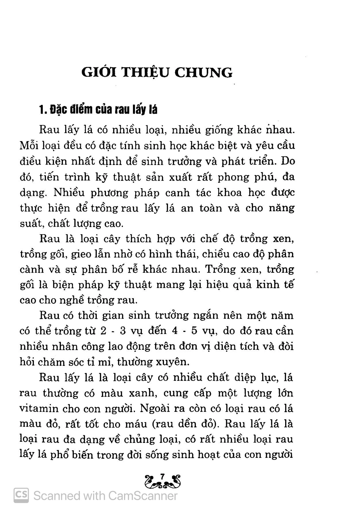 kỹ thuật trồng và chăm sóc rau lấy lá - Ảnh 4