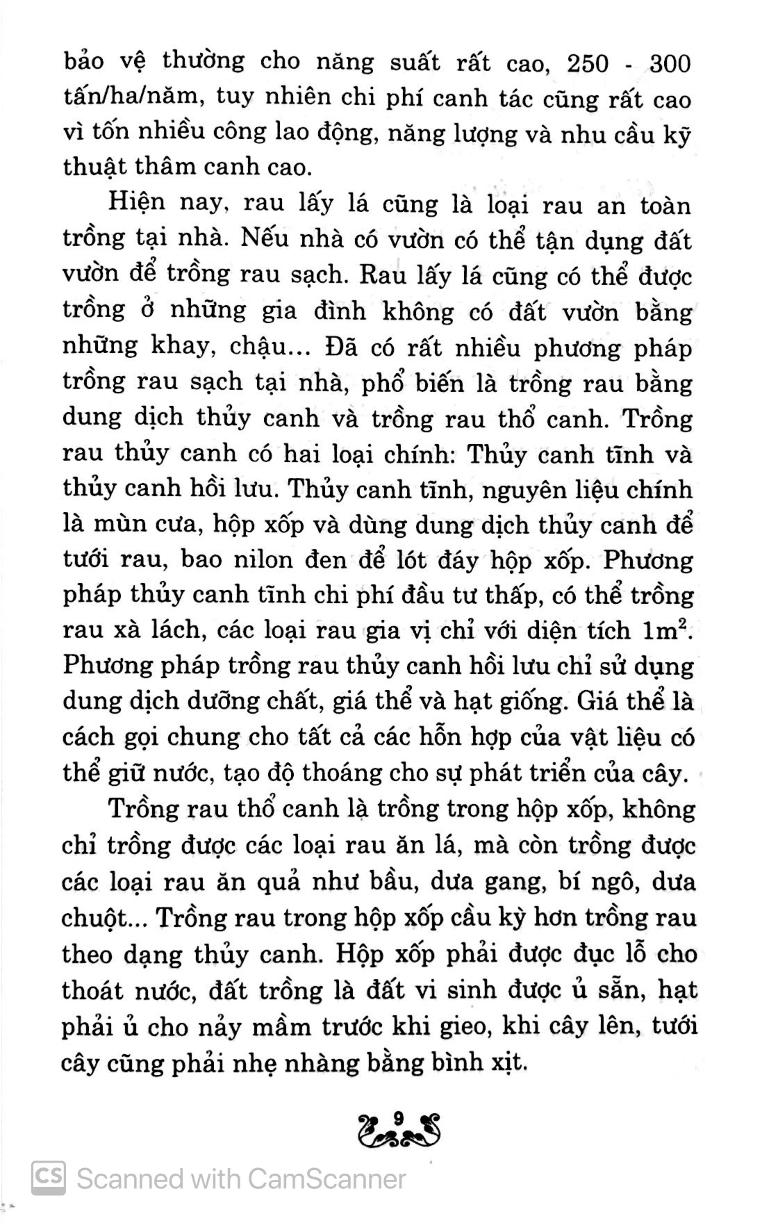kỹ thuật trồng và chăm sóc rau lấy lá - Ảnh 6