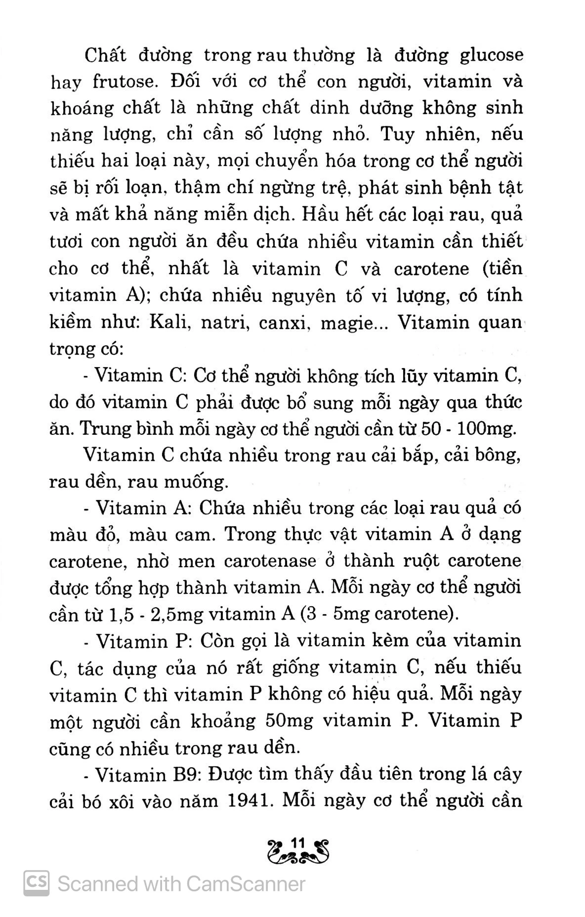 kỹ thuật trồng và chăm sóc rau lấy lá - Ảnh 8
