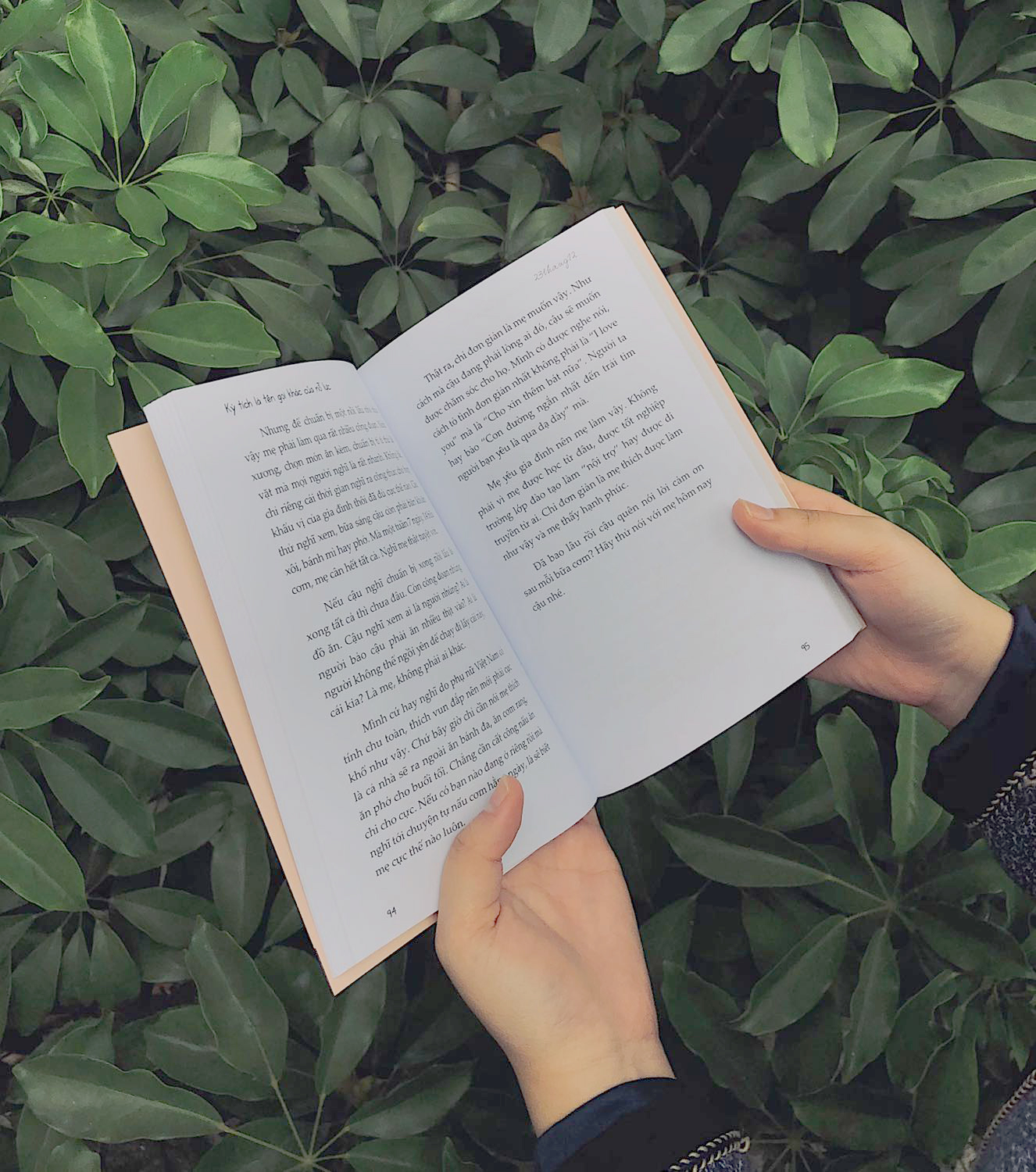 kỳ tích là tên gọi khác của nỗ lực - Ảnh 3