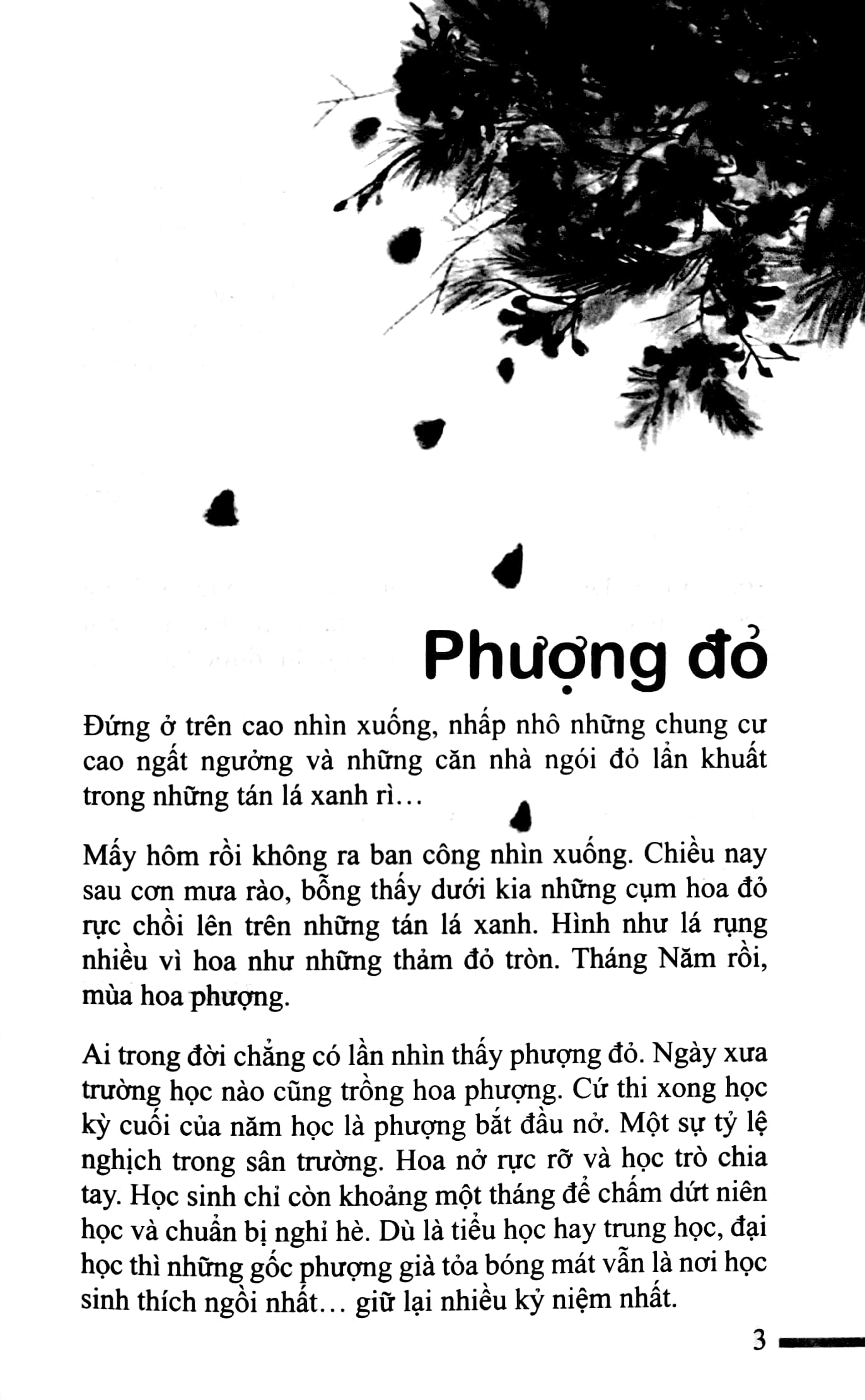 ký ức - dzoãn vân - Ảnh 4