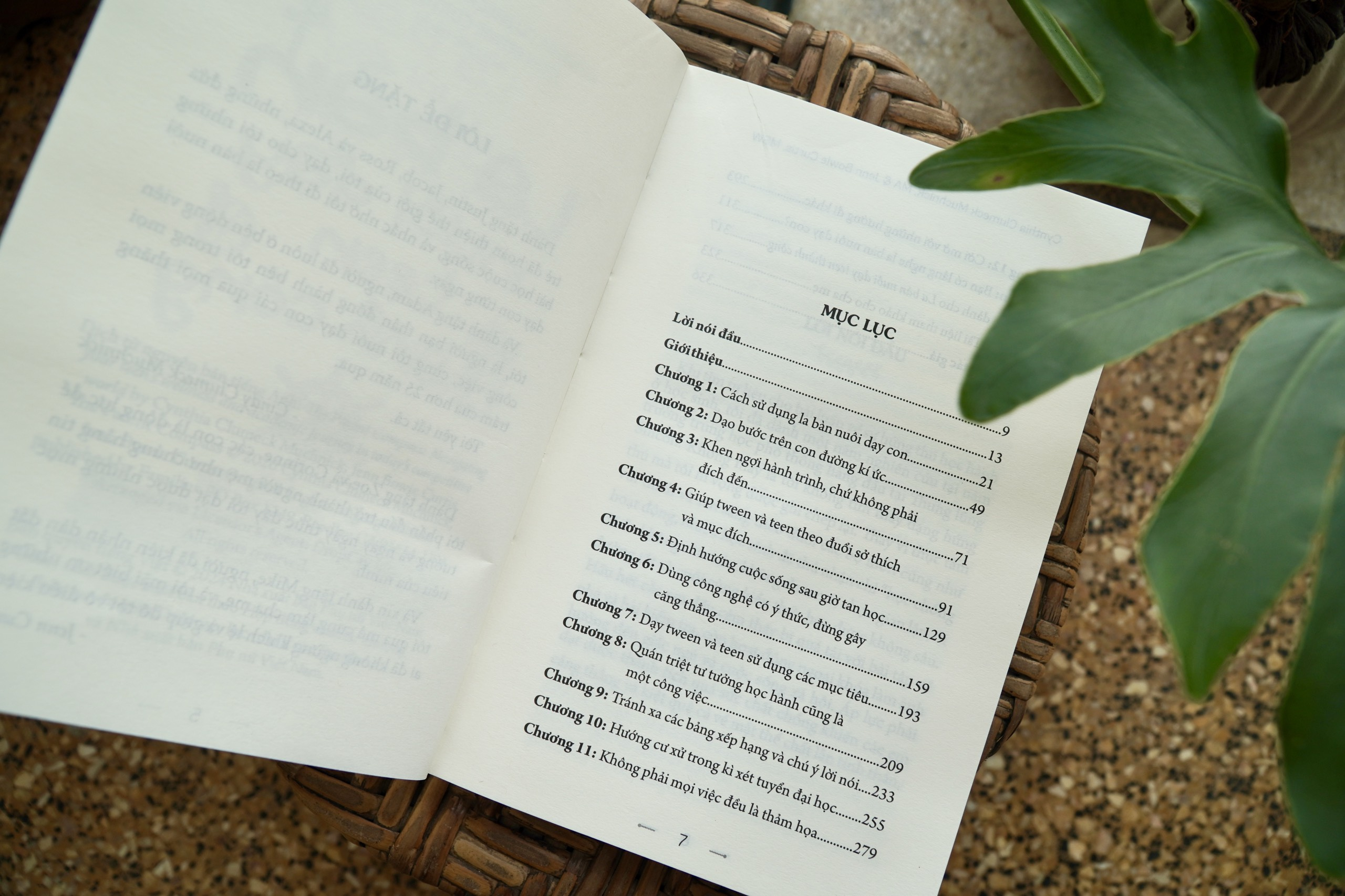 la bàn nuôi dạy teen thành công - Ảnh 4