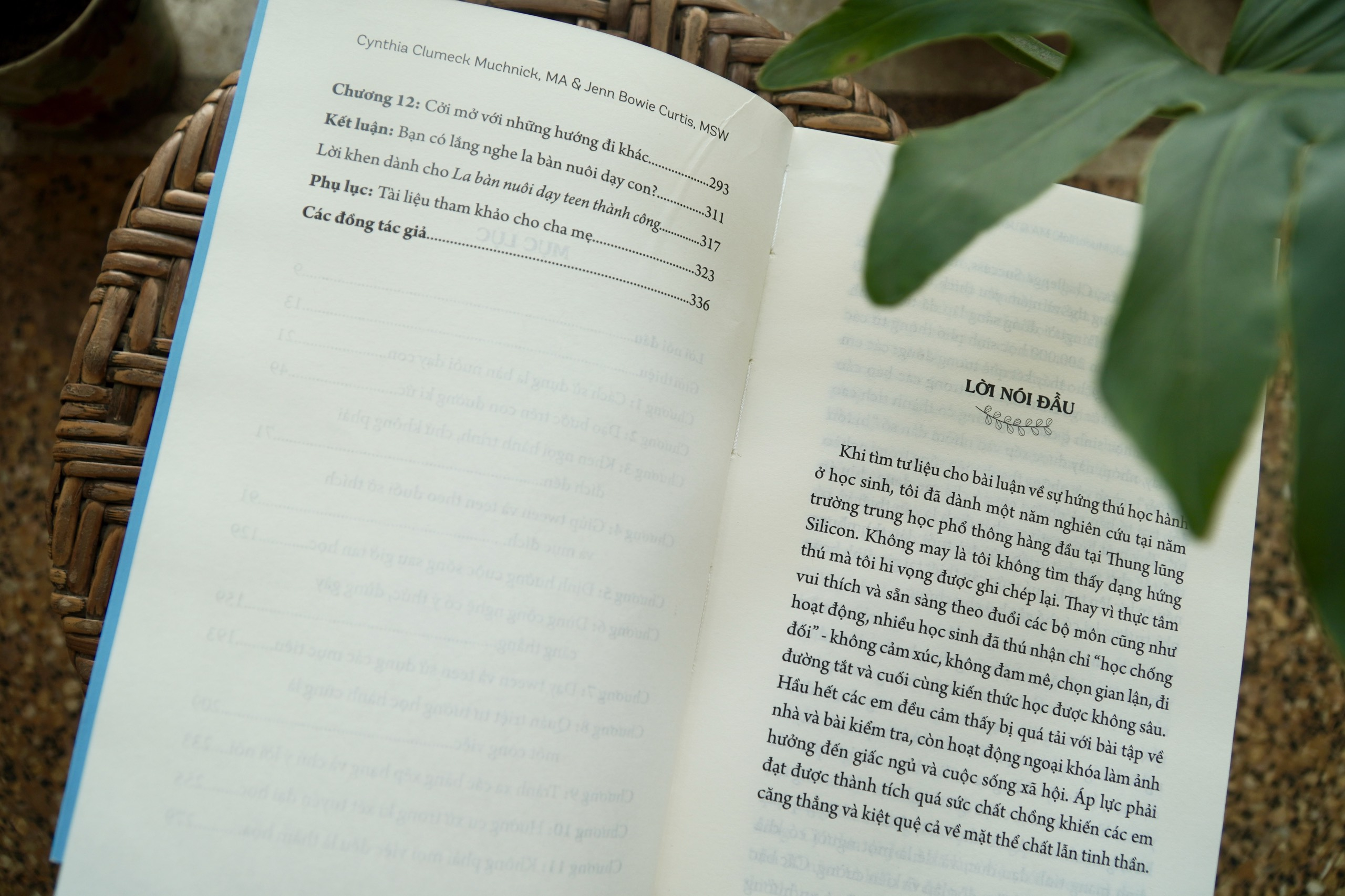 la bàn nuôi dạy teen thành công - Ảnh 7