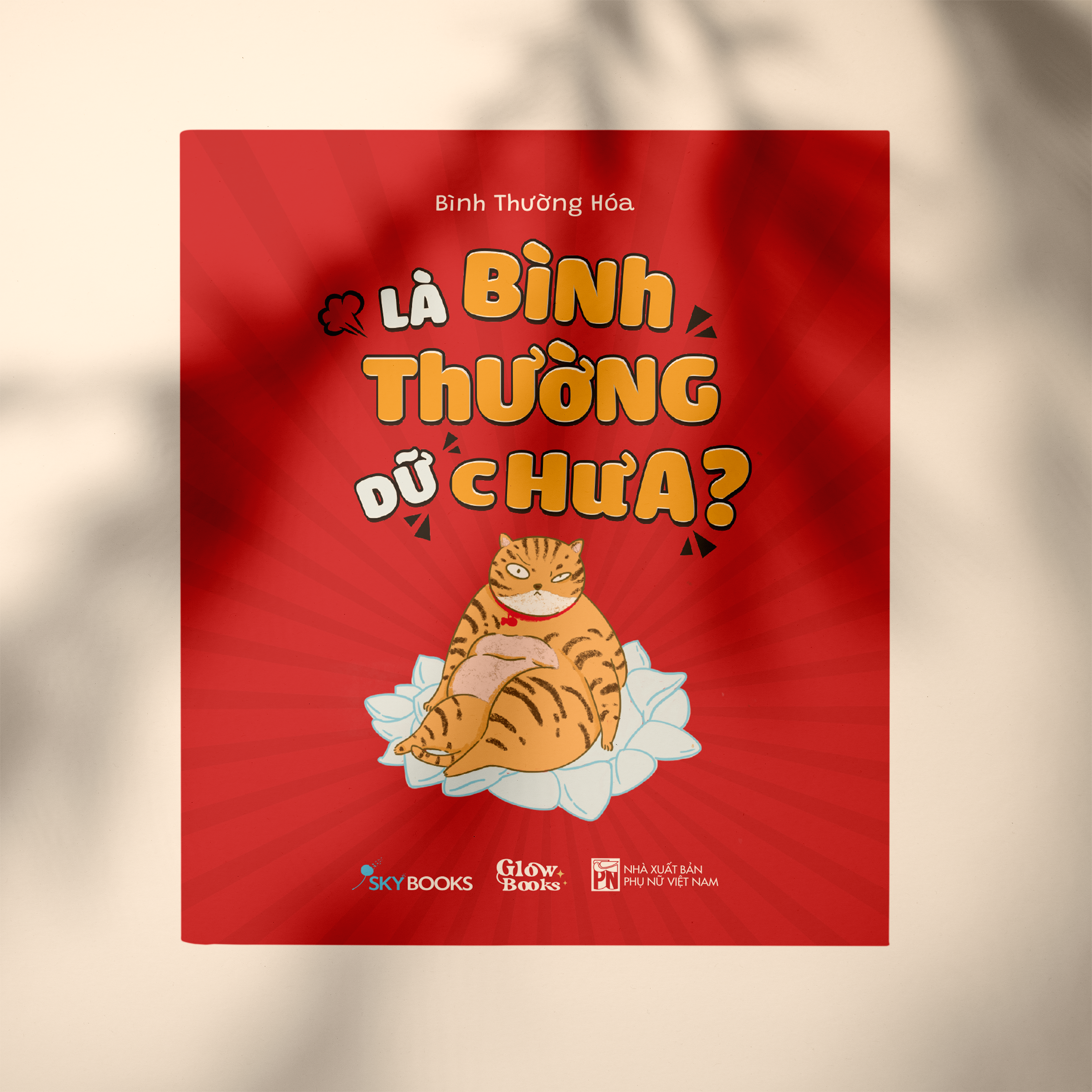 là bình thường dữ chưa? - Ảnh 4