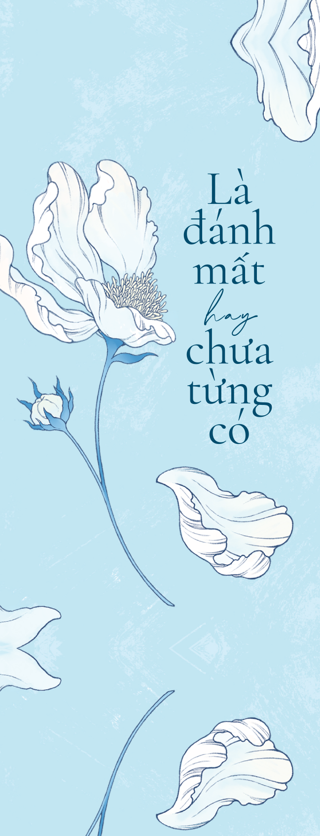 là đánh mất hay chưa từng có - Ảnh 4