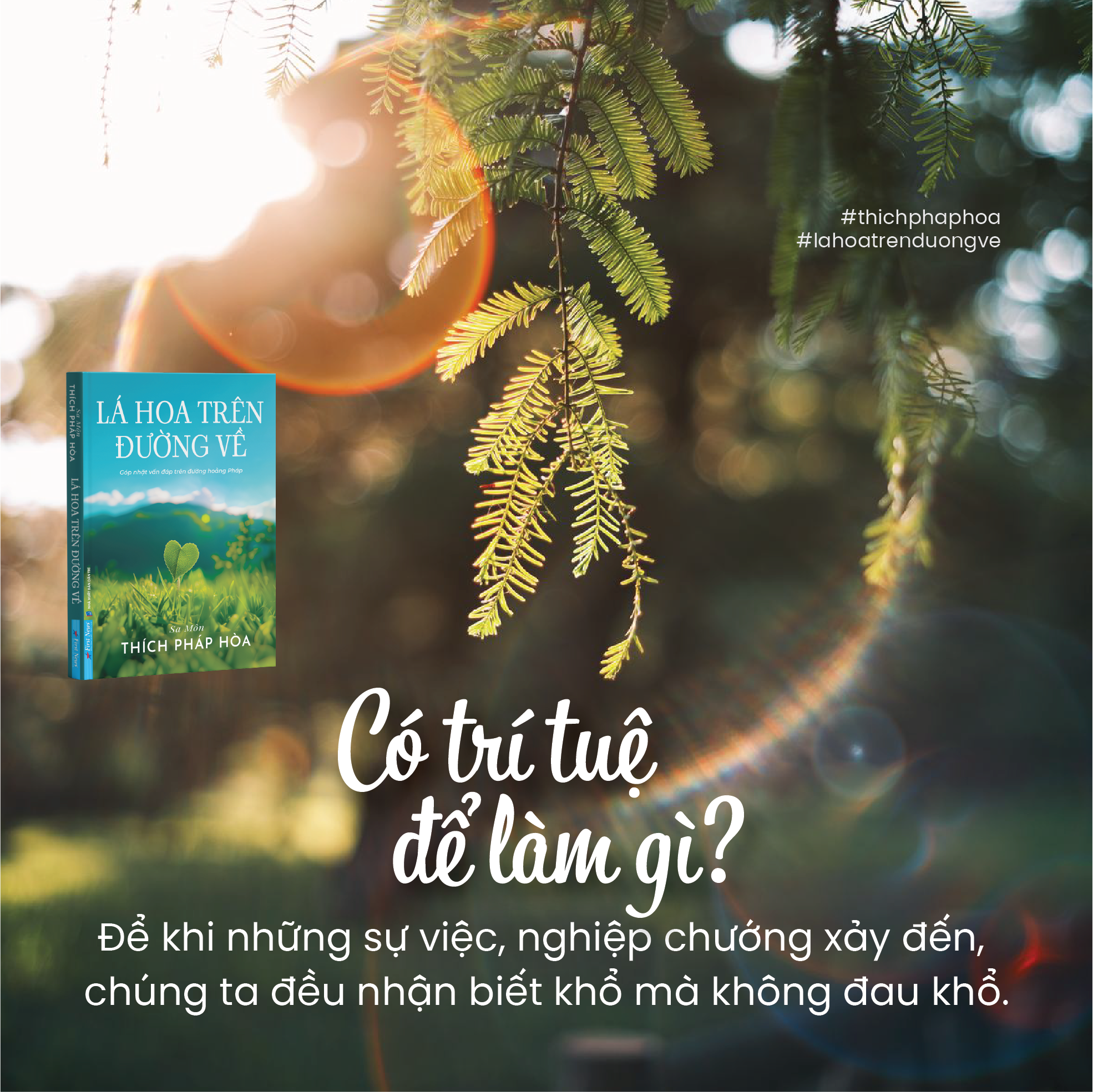 Lá Hoa Trên Đường Về - Tặng Kèm Bookmark Lá Bồ Đề Random 1 Trong 3 Mẫu + Bookmark + Postcard - Ảnh 7