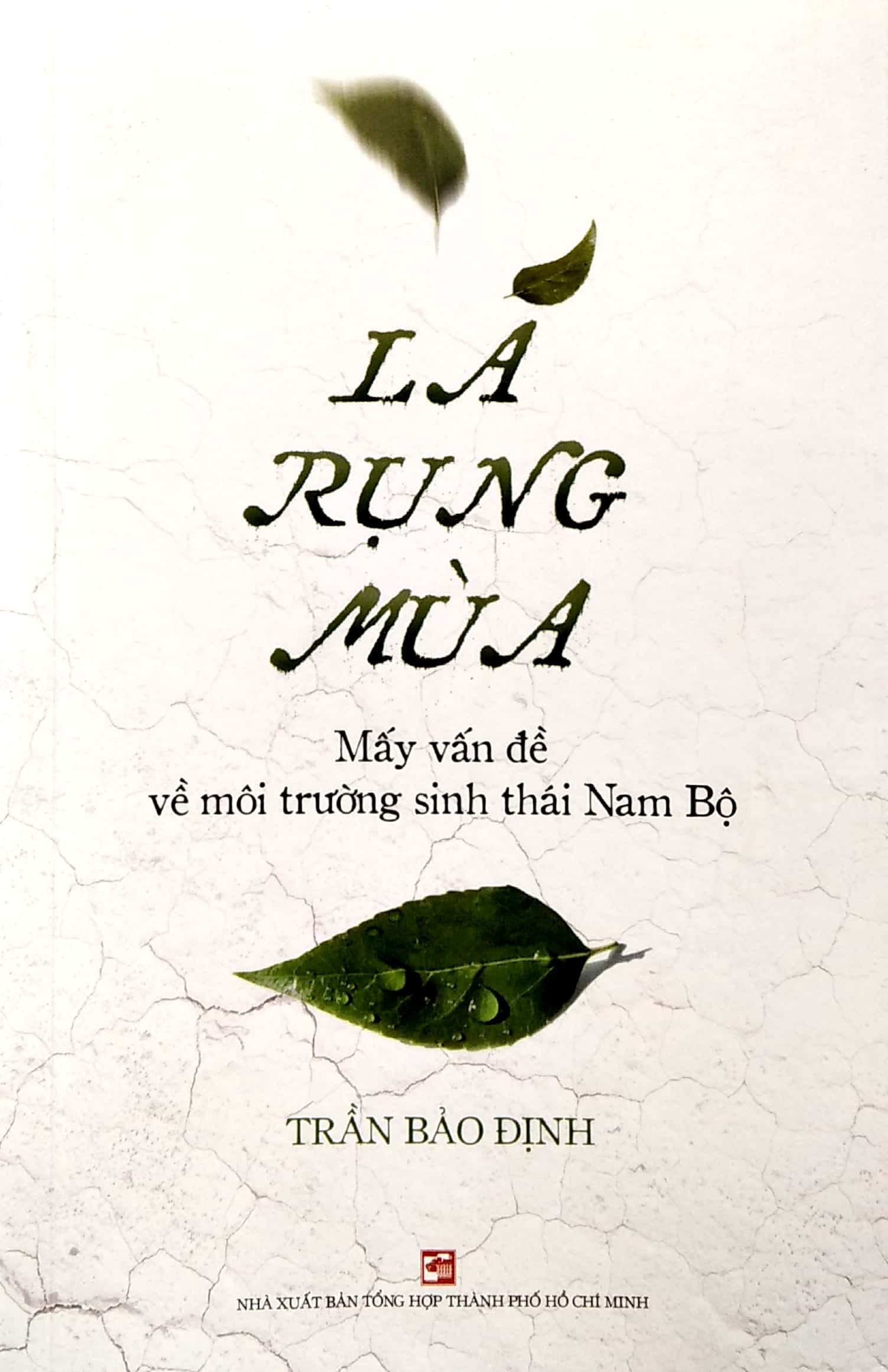 lá rụng mùa - Ảnh 2