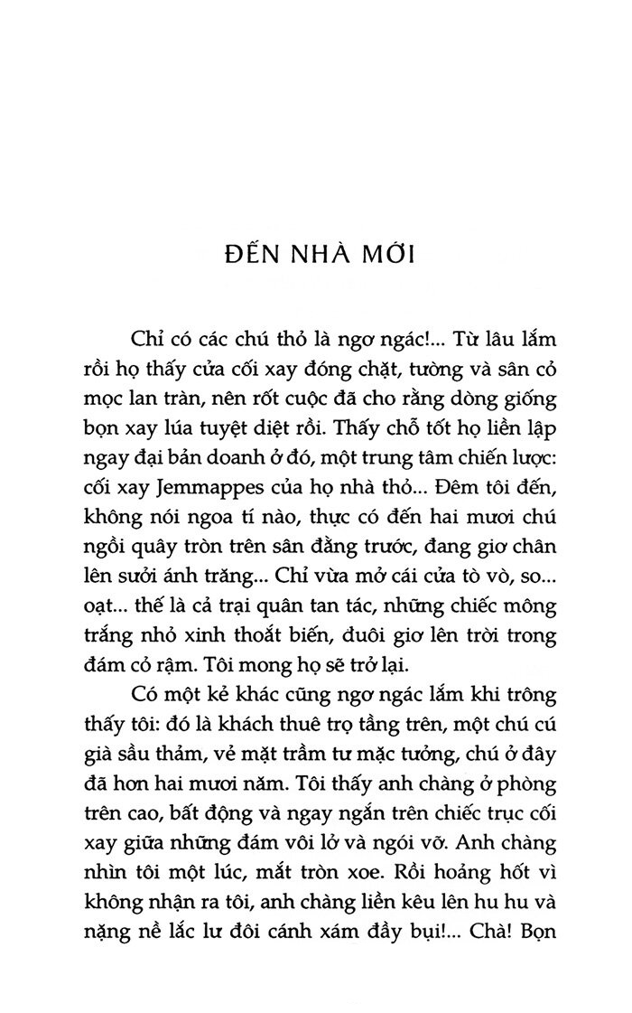 lá thư hè (tái bản 2023) - Ảnh 3