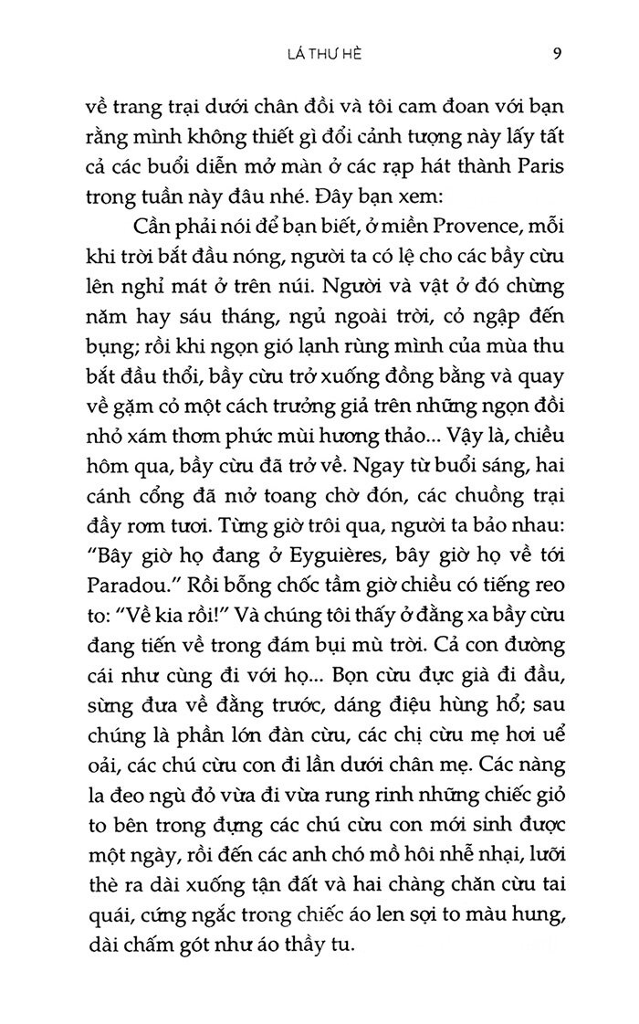 lá thư hè (tái bản 2023) - Ảnh 5