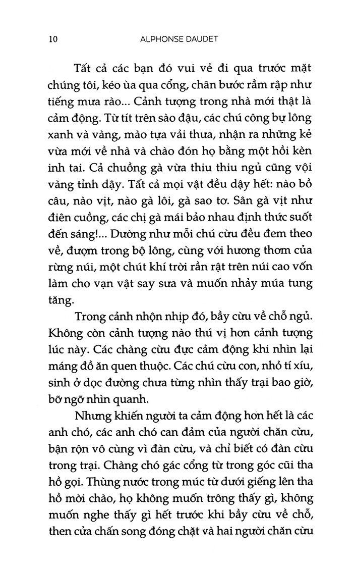 lá thư hè (tái bản 2023) - Ảnh 6