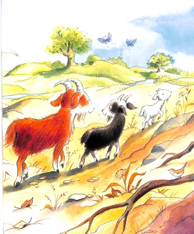 ladybird stories for five year olds - Ảnh 5