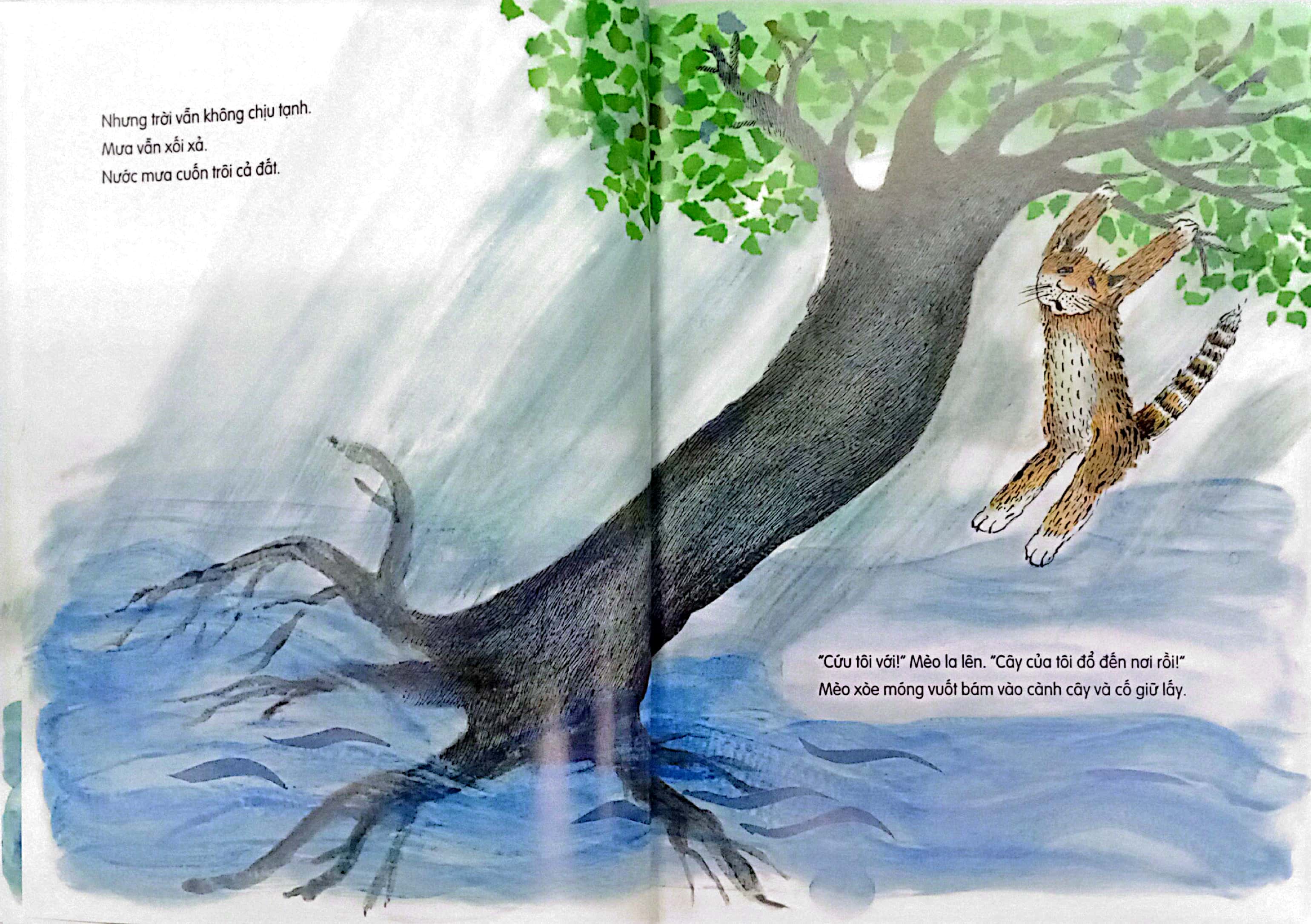 "lại đây nào!" - mèo bảo - Ảnh 5