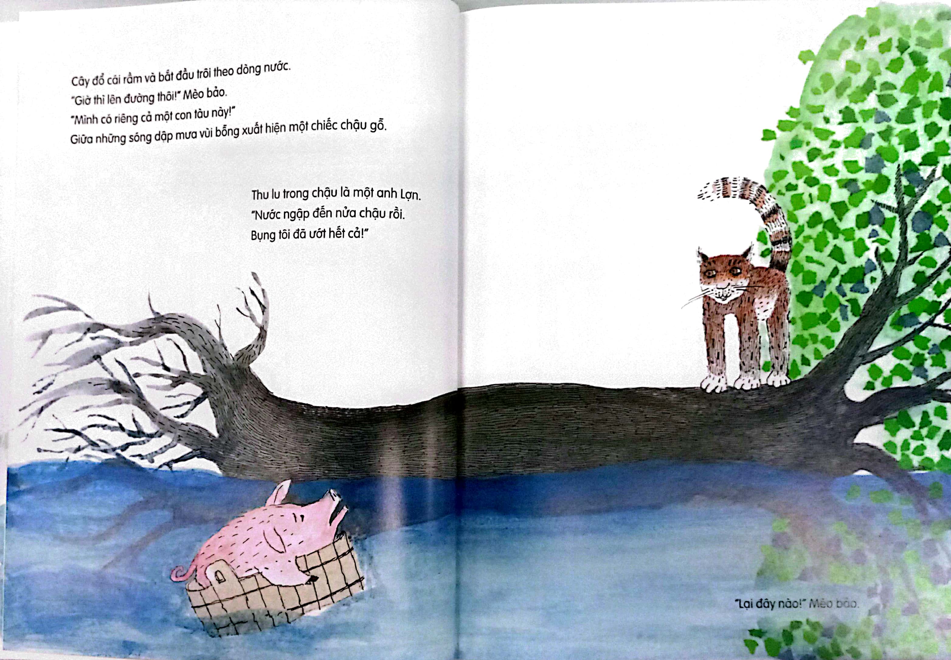 "lại đây nào!" - mèo bảo - Ảnh 6