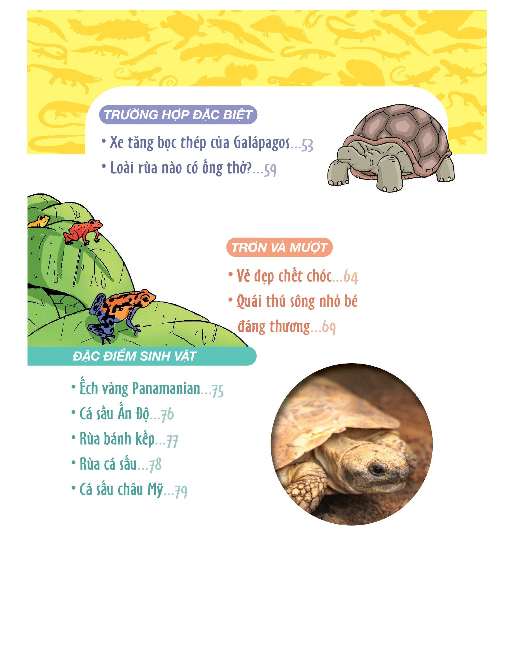 làm bạn với khoa học - world of science - những bí ẩn về bò sát và lưỡng cư - adventures with reptiles and amphibians - Ảnh 10