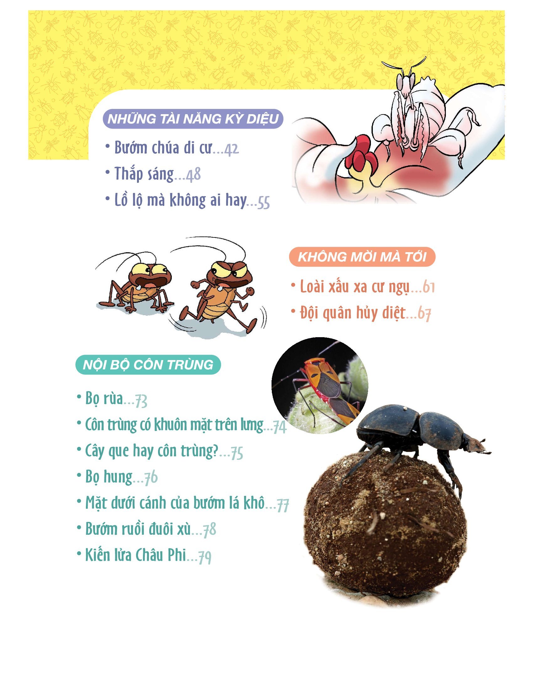 làm bạn với khoa học - world of science - những bí ẩn về côn trùng - adventures with insects - Ảnh 7