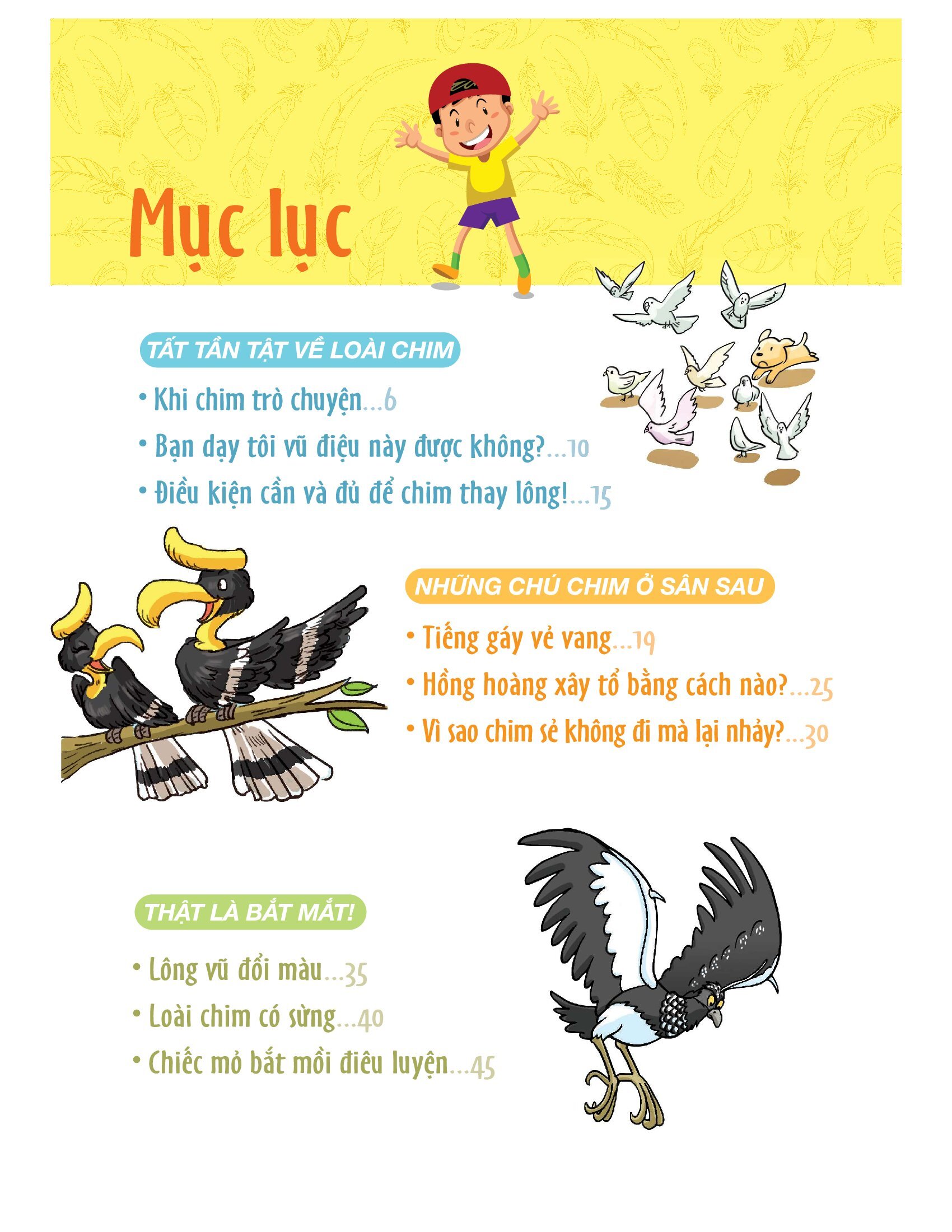 làm bạn với khoa học - world of science - những bí ẩn về loài chim - adventures with birds - Ảnh 7