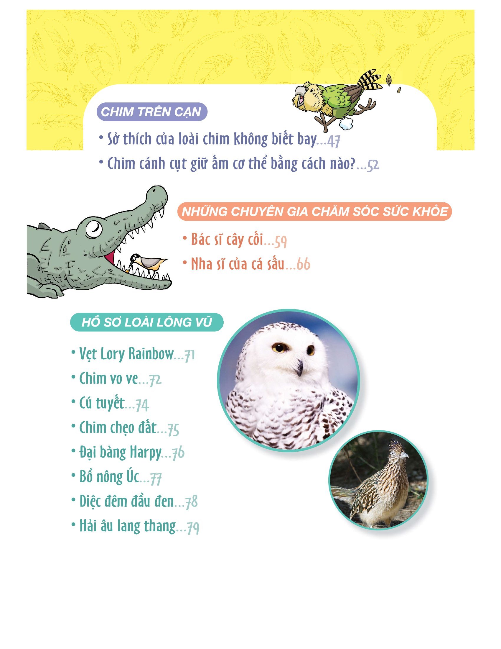 làm bạn với khoa học - world of science - những bí ẩn về loài chim - adventures with birds - Ảnh 8