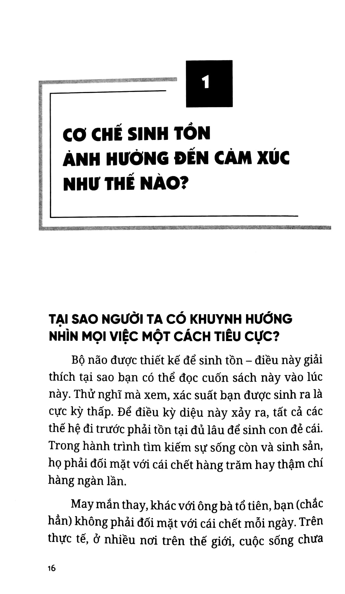 làm chủ cảm xúc hạnh phúc trong tay - Ảnh 6