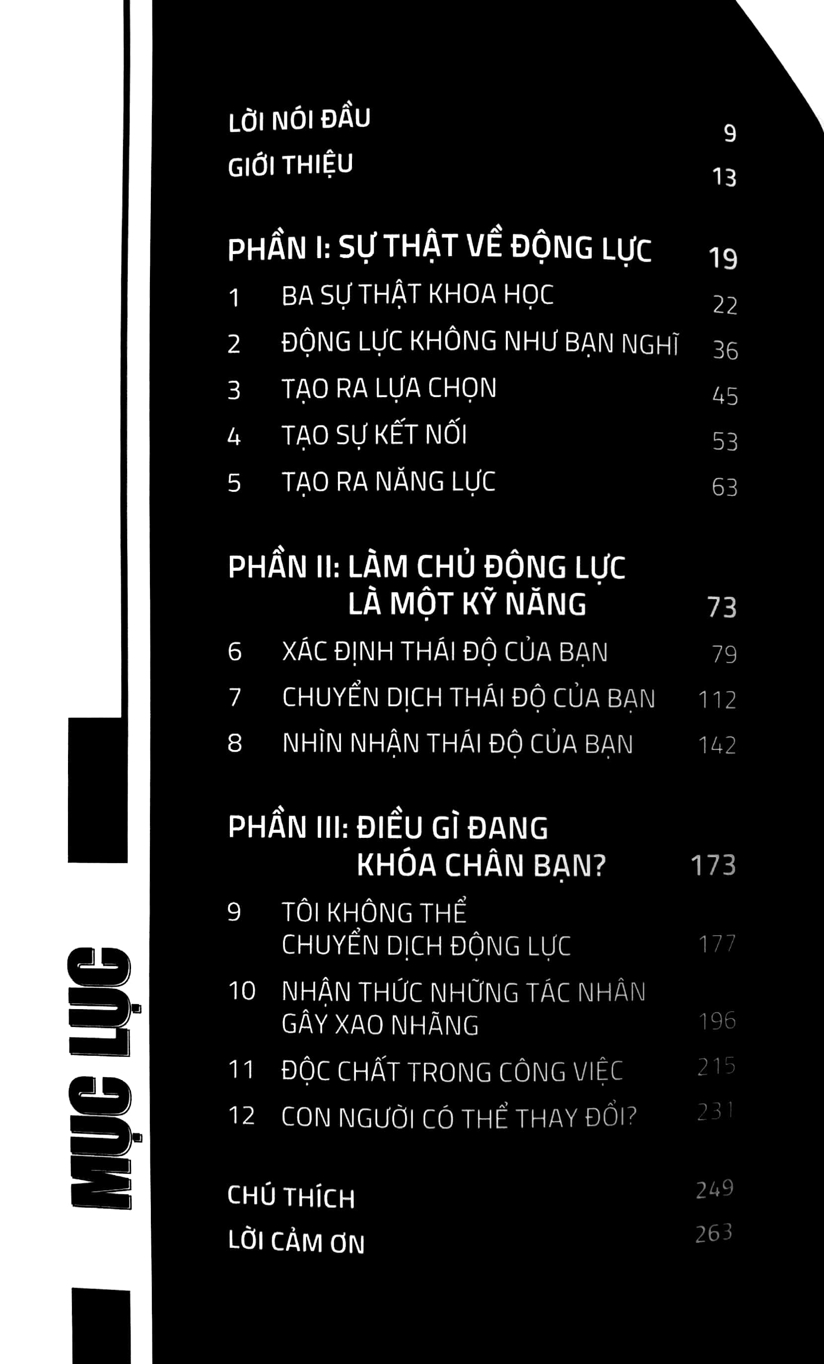 làm chủ động lực - làm chủ cuộc đời - Ảnh 3