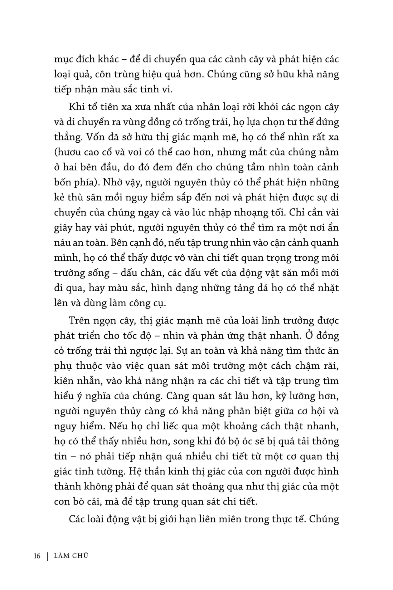 làm chủ - mastery - Ảnh 16