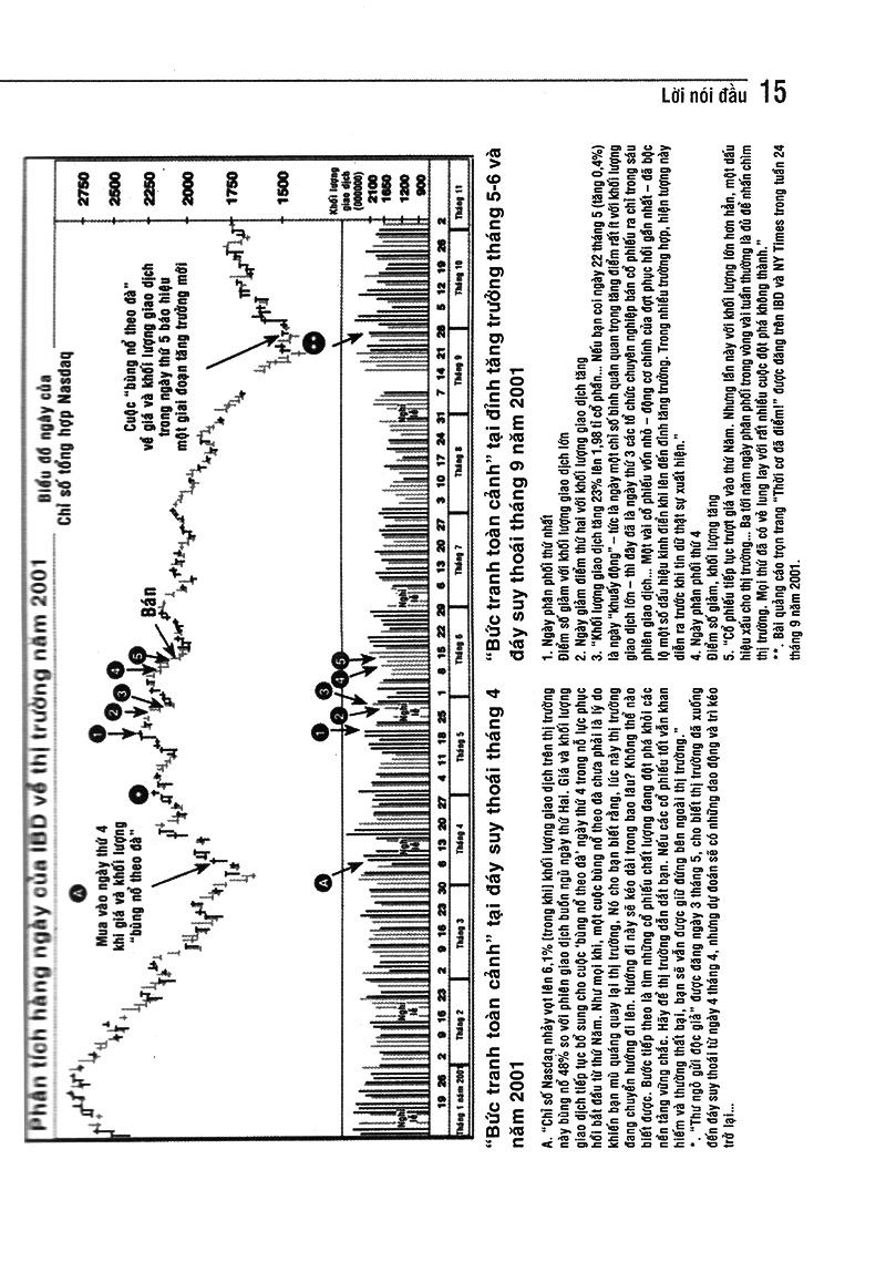 làm giàu qua chứng khoán - Ảnh 11