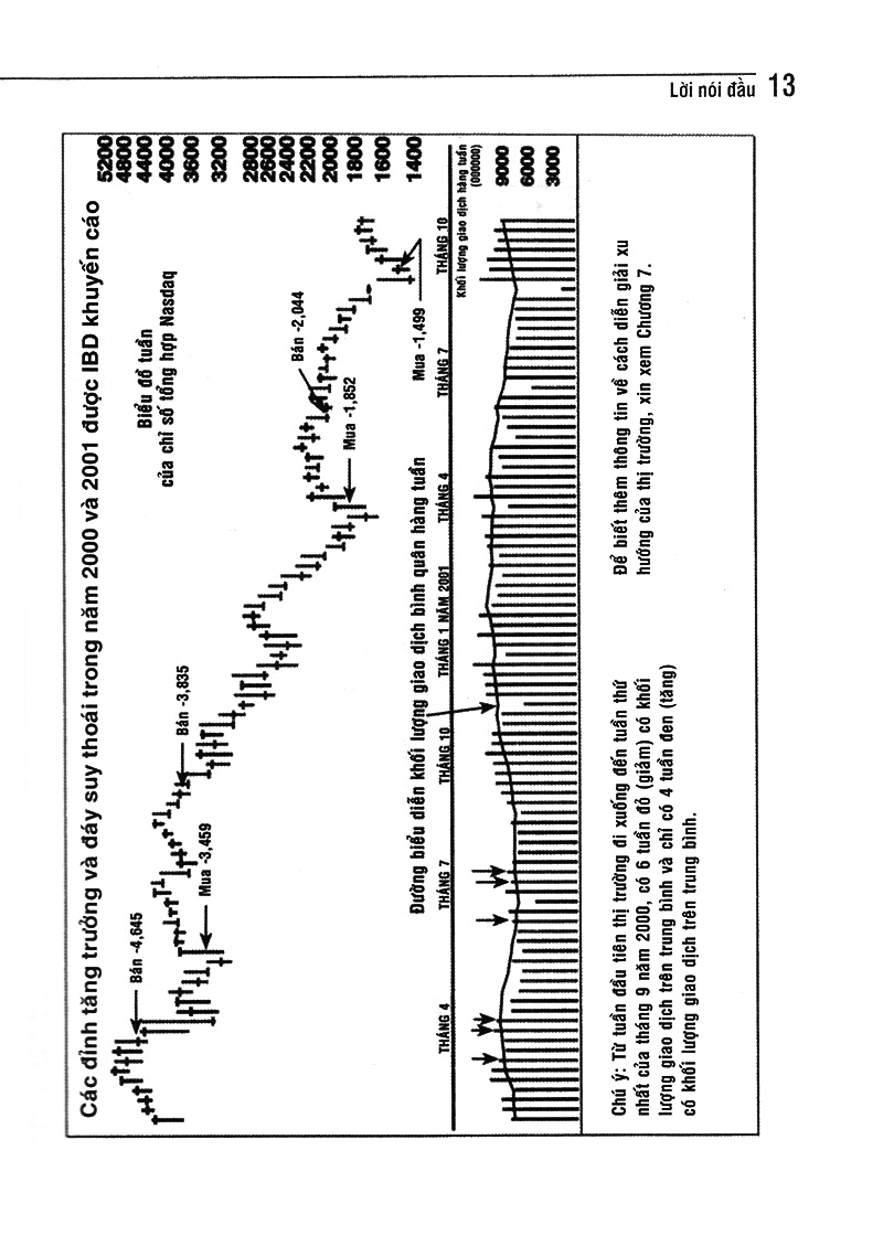 làm giàu qua chứng khoán - Ảnh 9