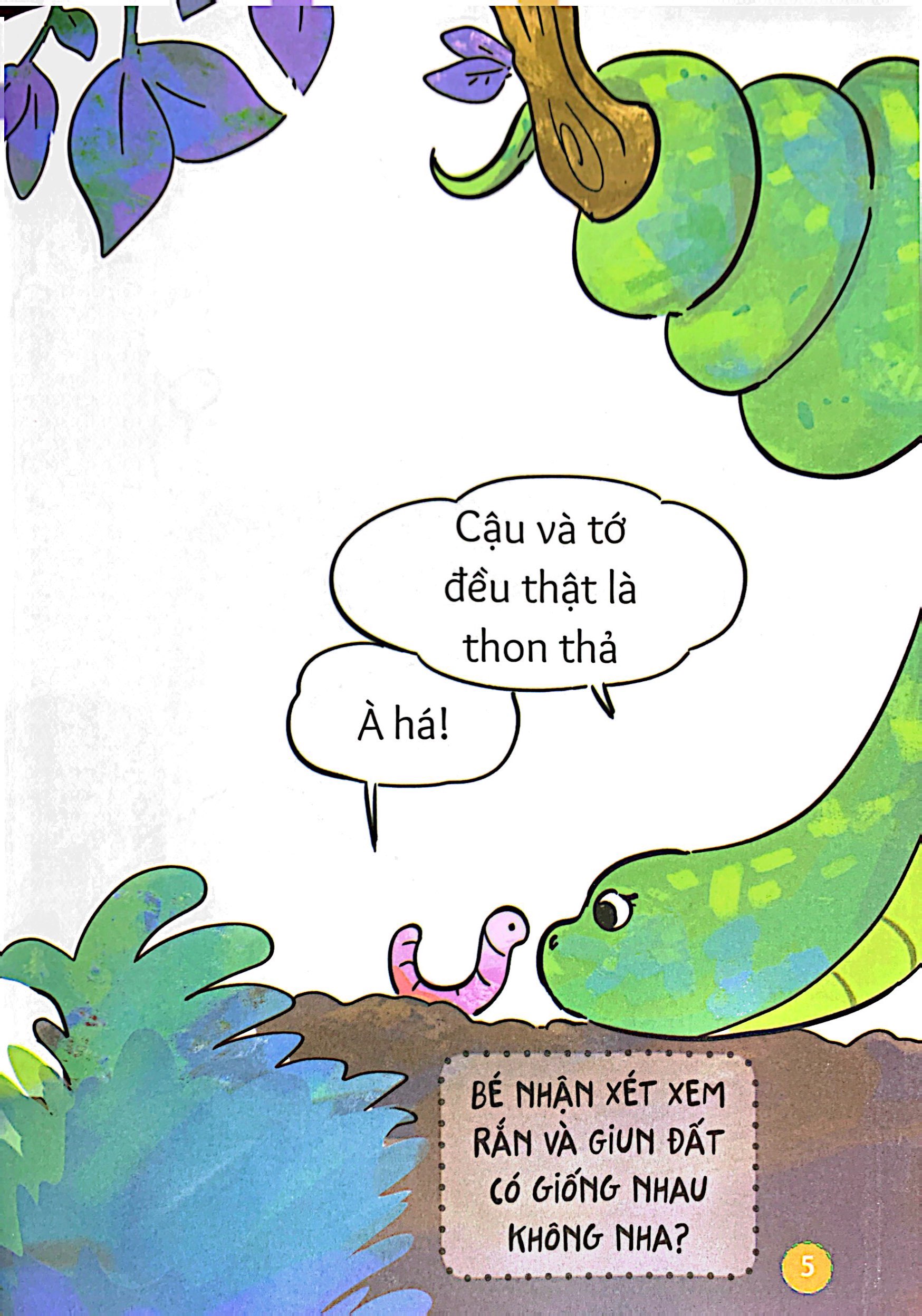 làm quen với xung quanh - chúng mình giống nhau thật không? - Ảnh 7