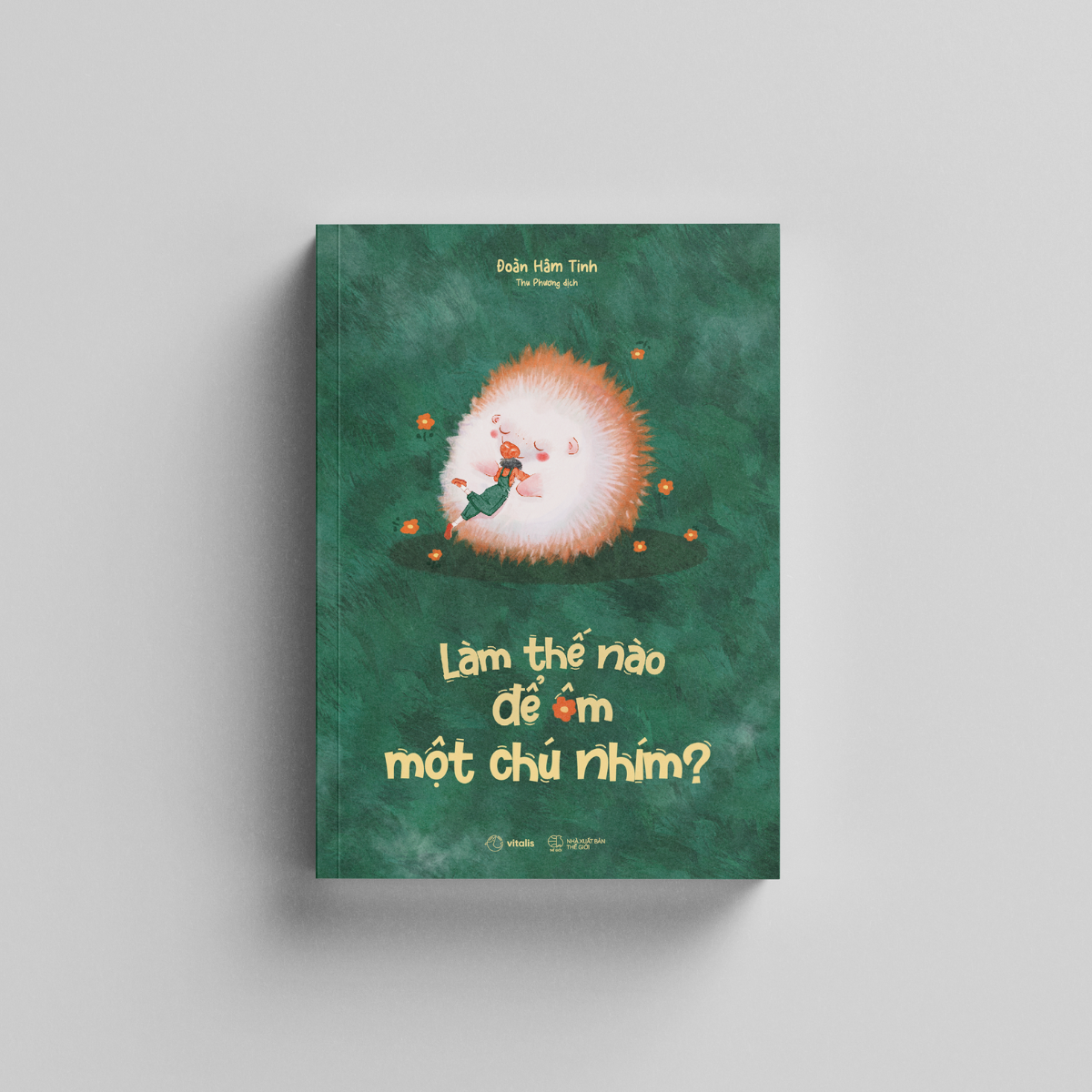 làm thế nào để ôm một chú nhím? - Ảnh 4