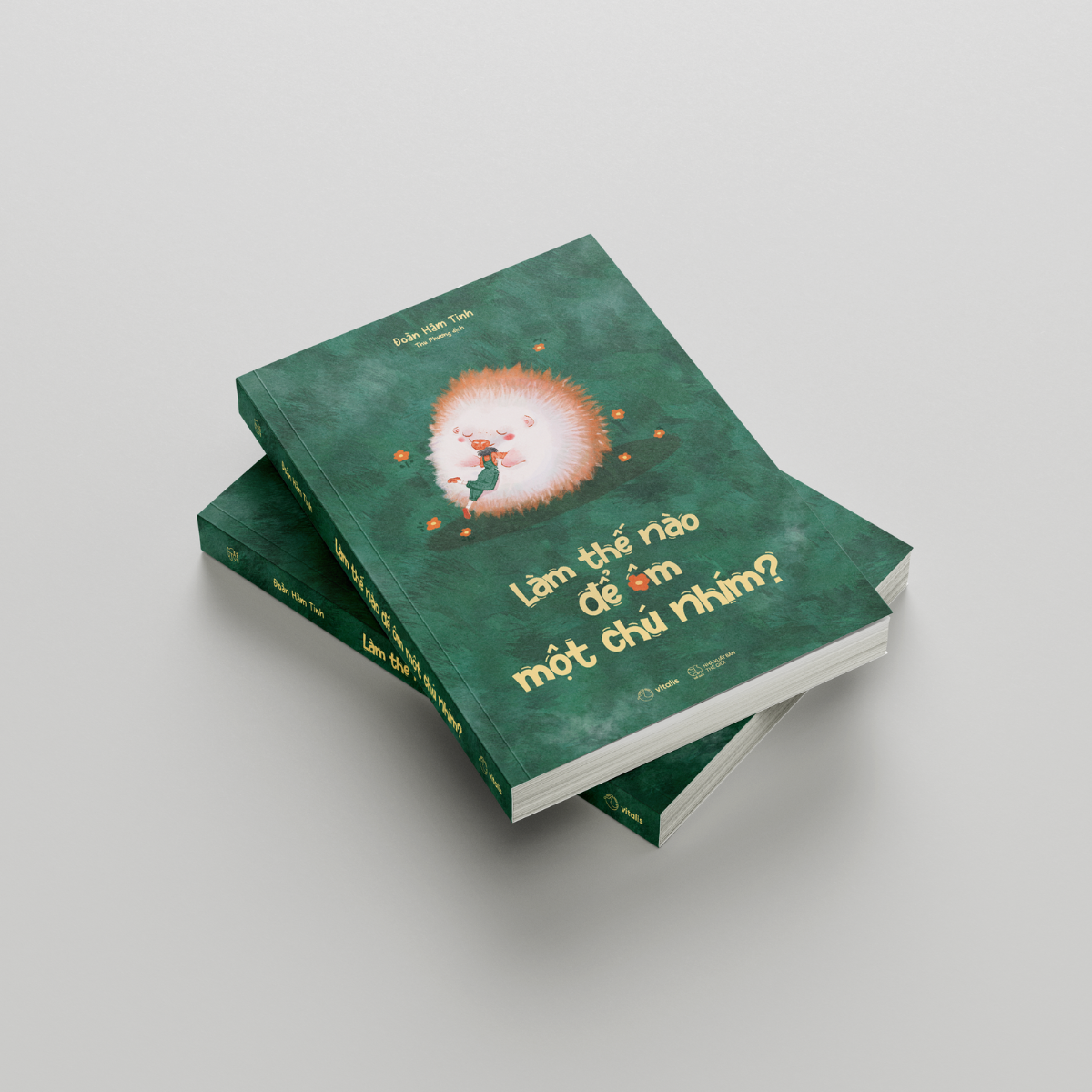 làm thế nào để ôm một chú nhím? - Ảnh 5