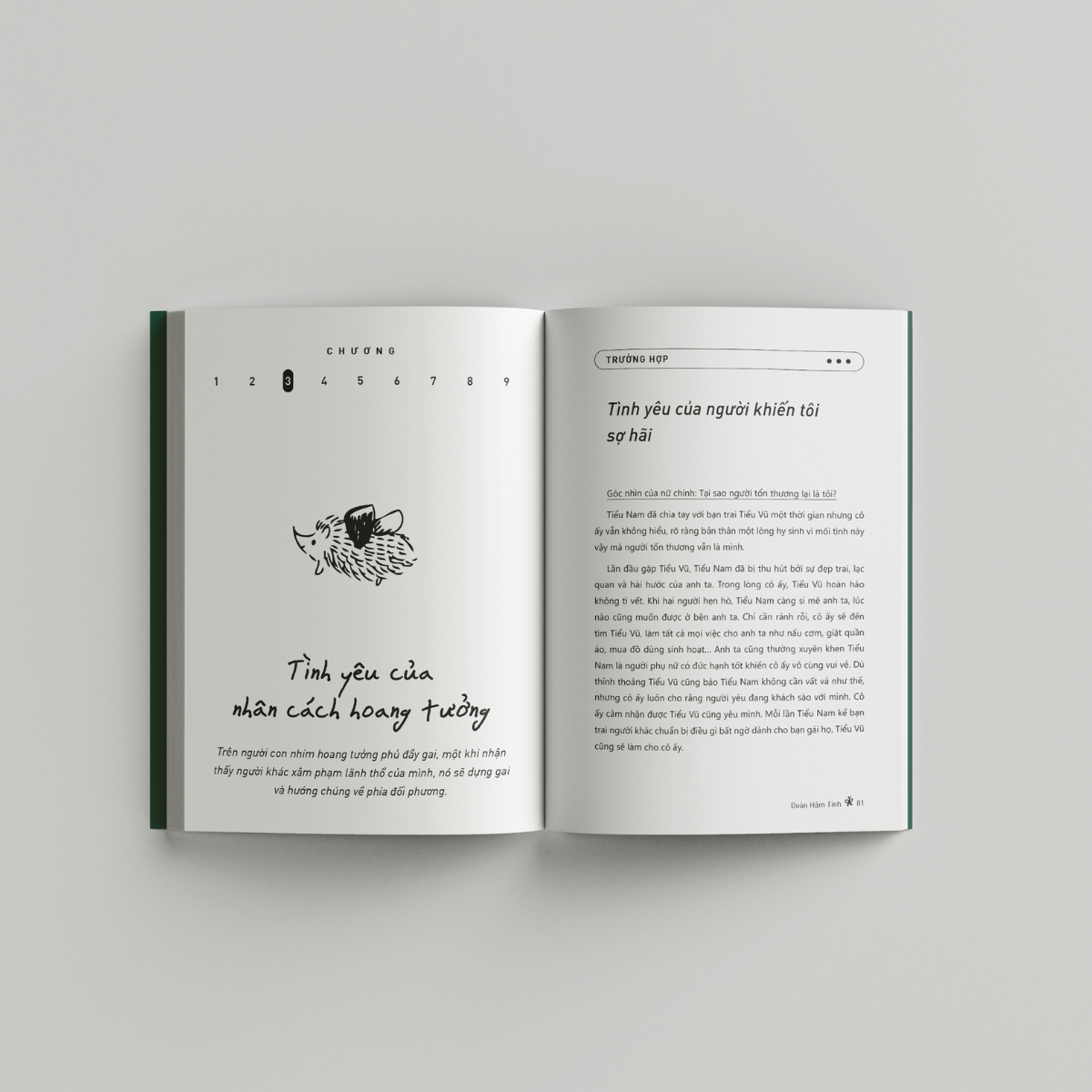 làm thế nào để ôm một chú nhím? - Ảnh 6