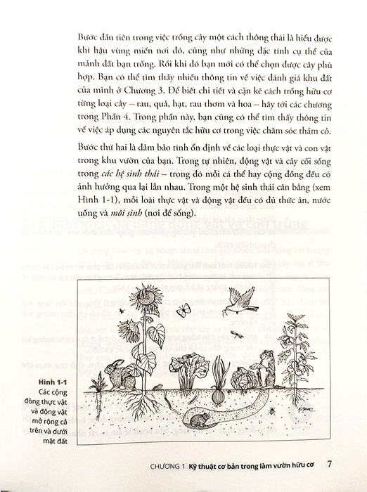 làm vườn hữu cơ for dummies - Ảnh 5