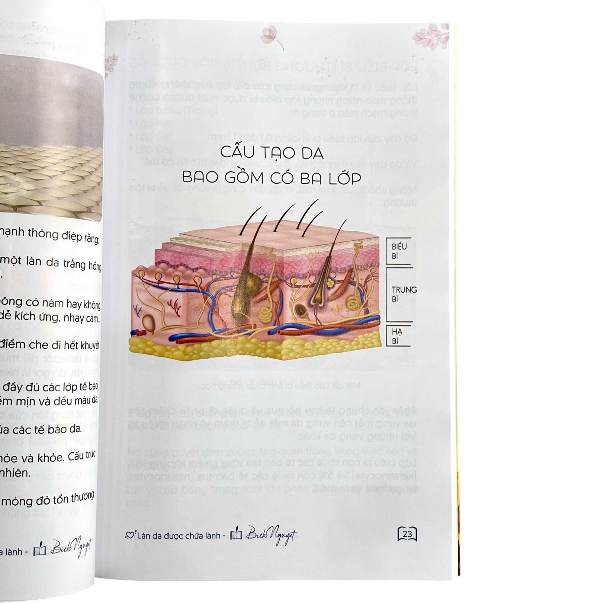 Lan Da Duoc Chua Lanh - Ảnh 3