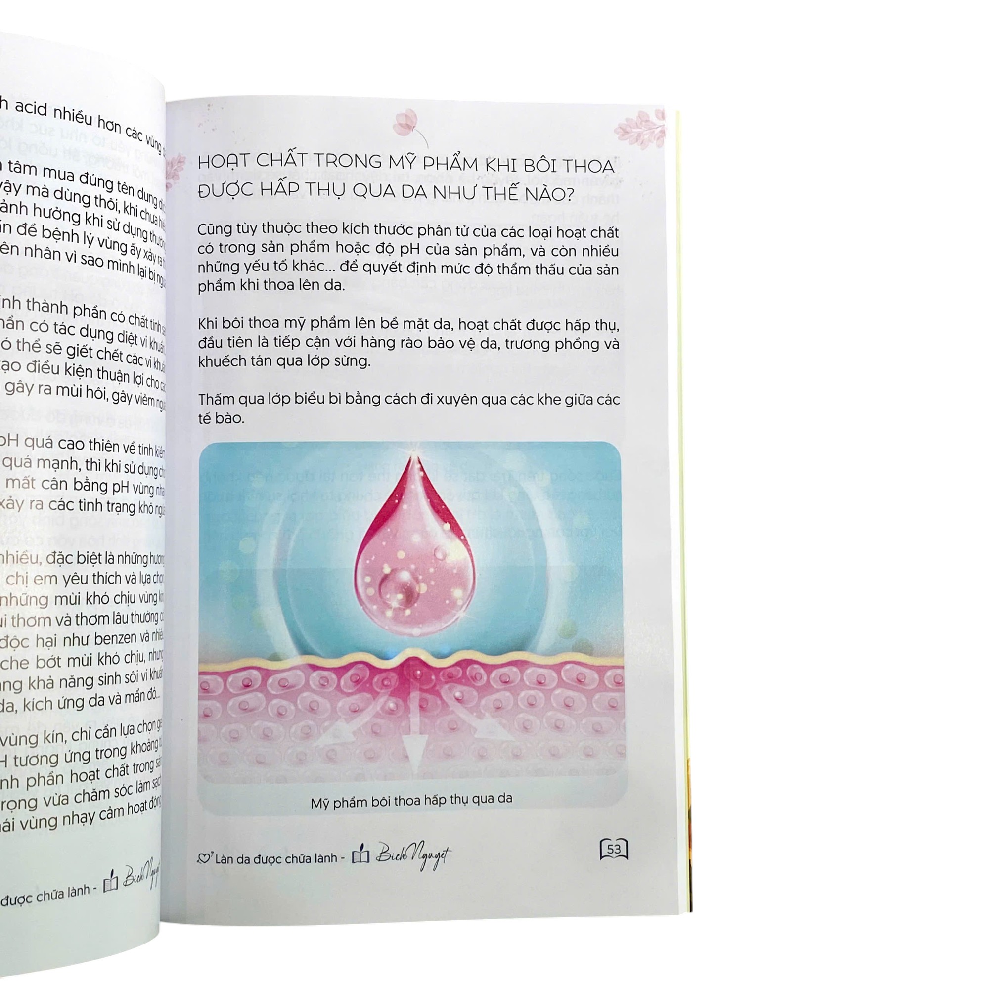 Lan Da Duoc Chua Lanh - Ảnh 5