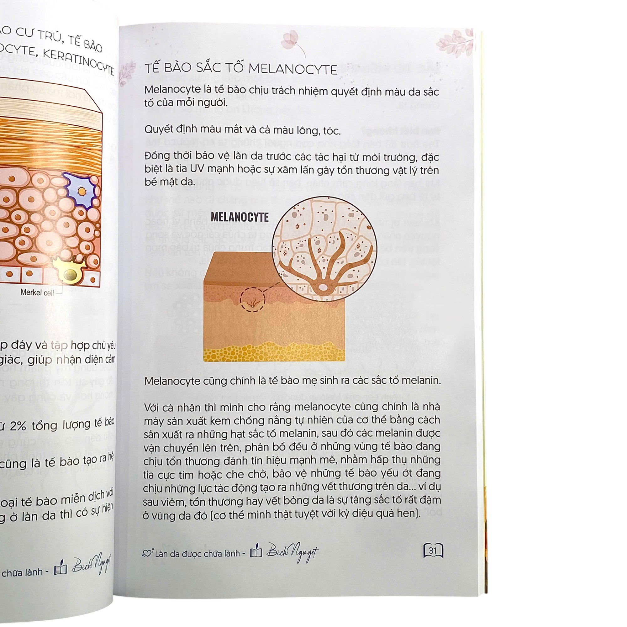 Lan Da Duoc Chua Lanh - Ảnh 6