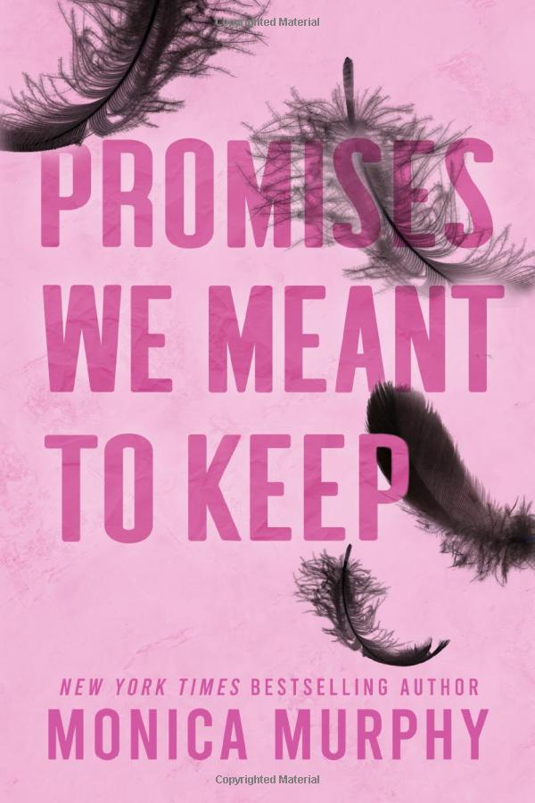 lancaster prep 3: promises we meant to keep - Ảnh 2