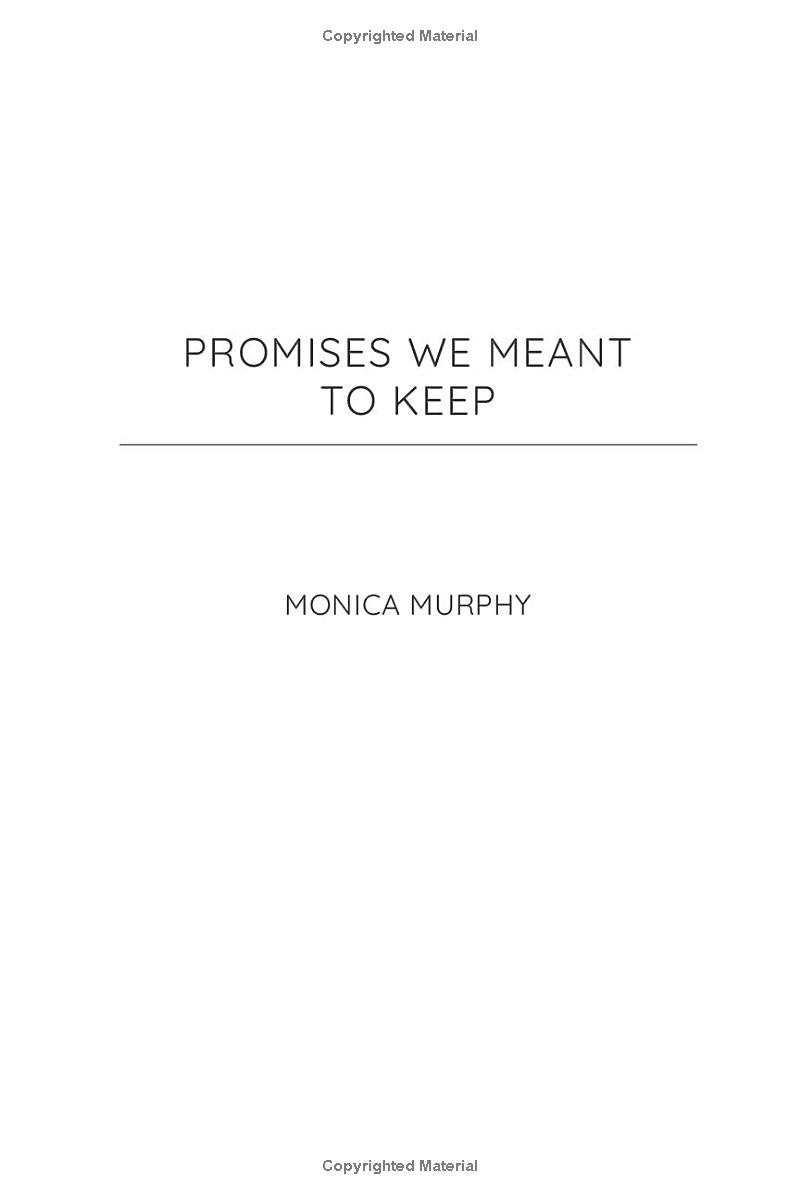 lancaster prep 3: promises we meant to keep - Ảnh 3